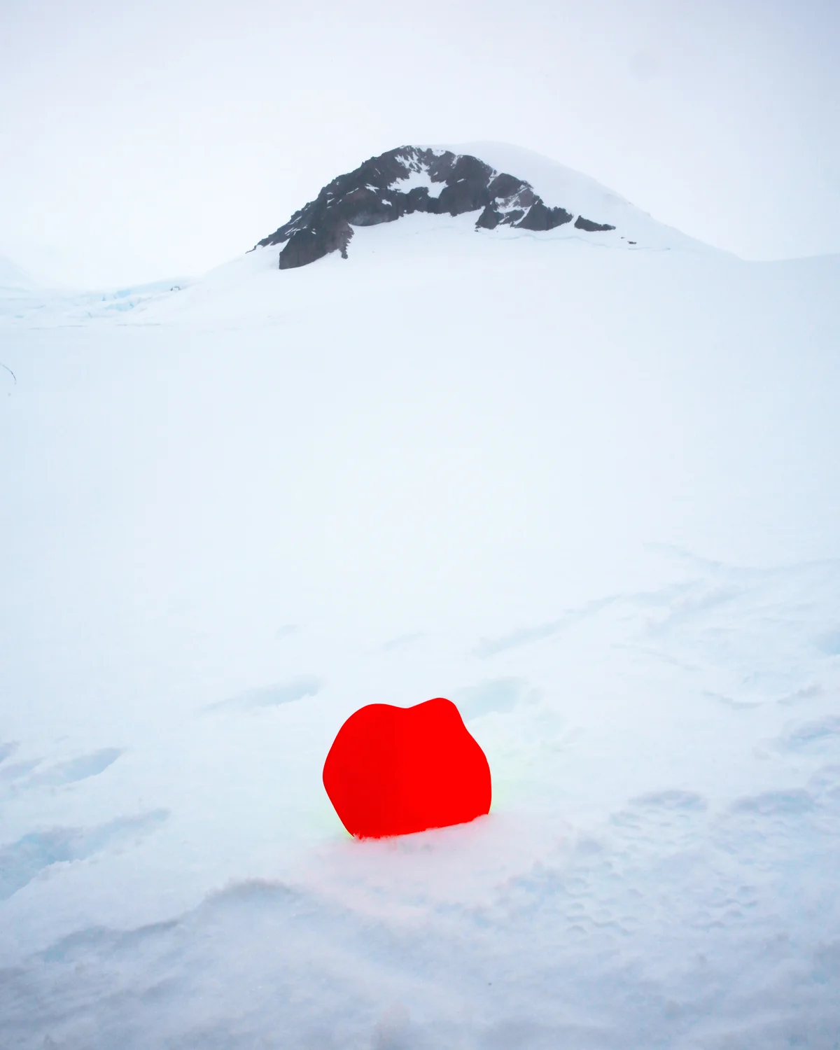 Antarctic Intervention.jpg