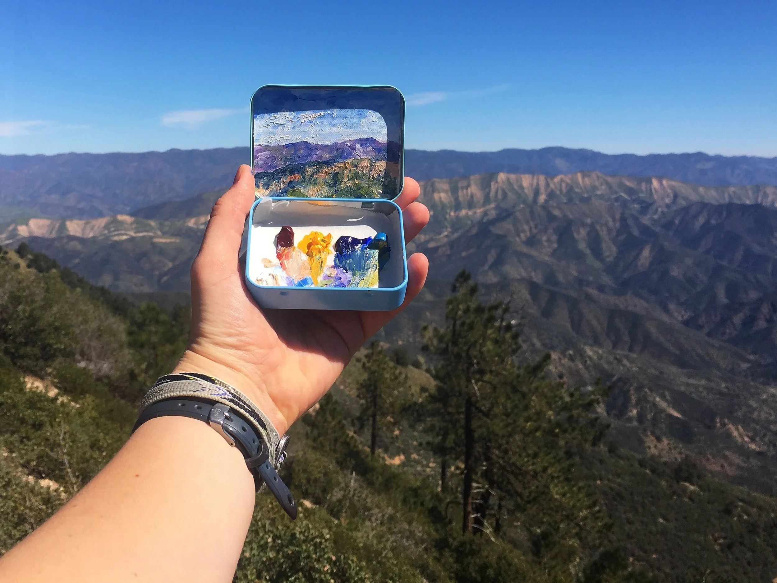 Los Padres National Forest 1