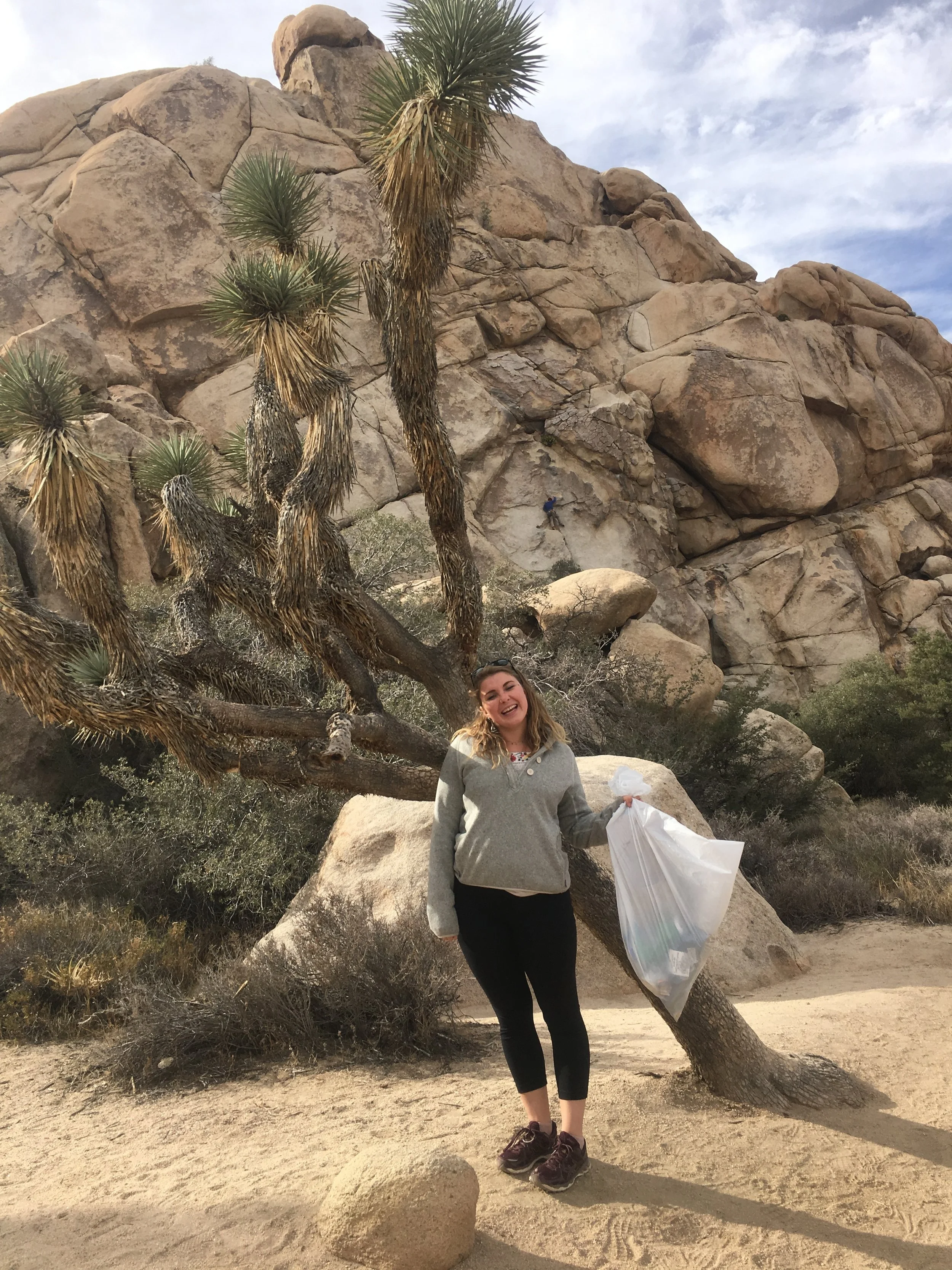 Trash found in JTNP