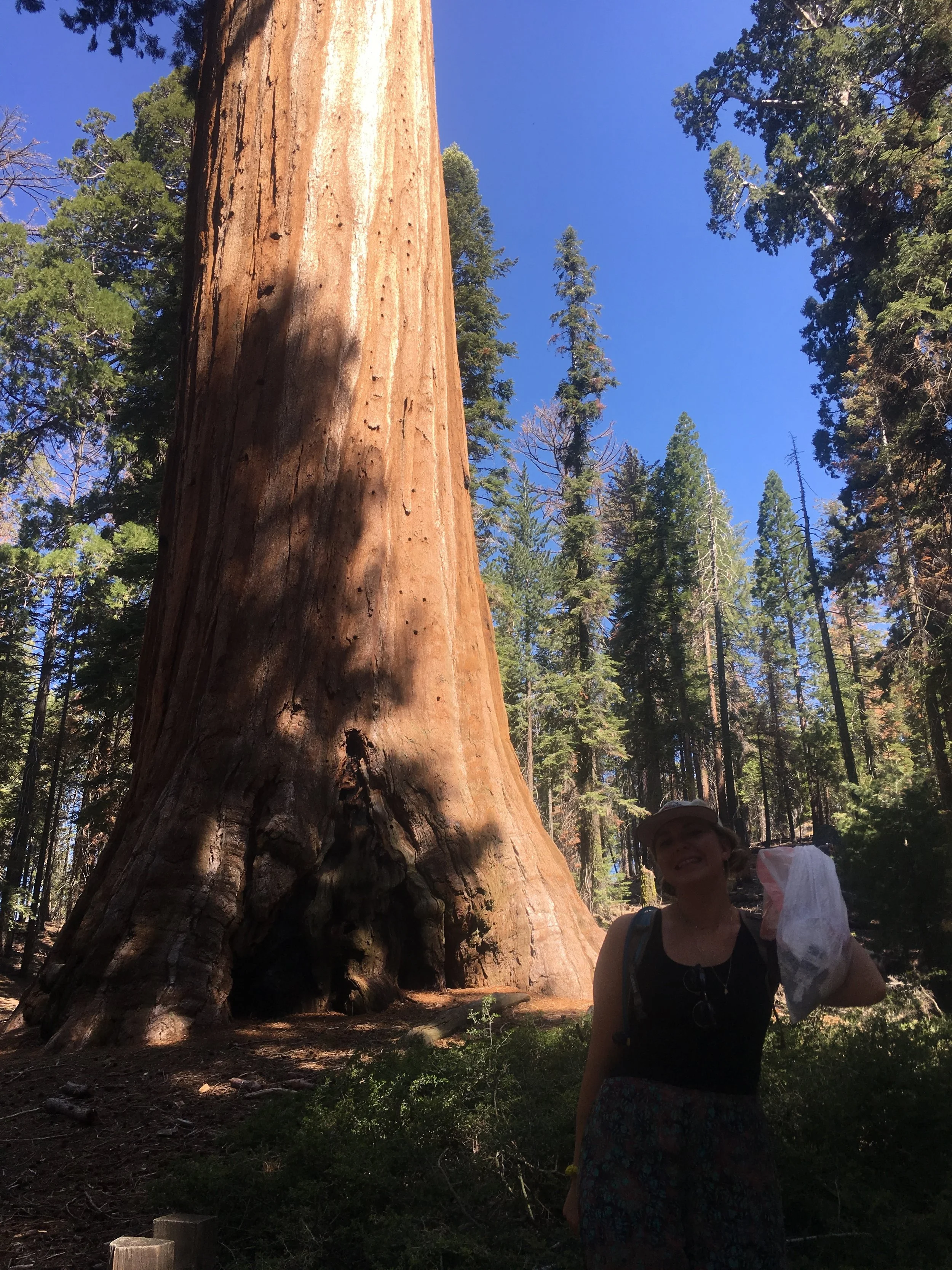 With the trash found in Kings Canyon standing in front of the General Grant Tree