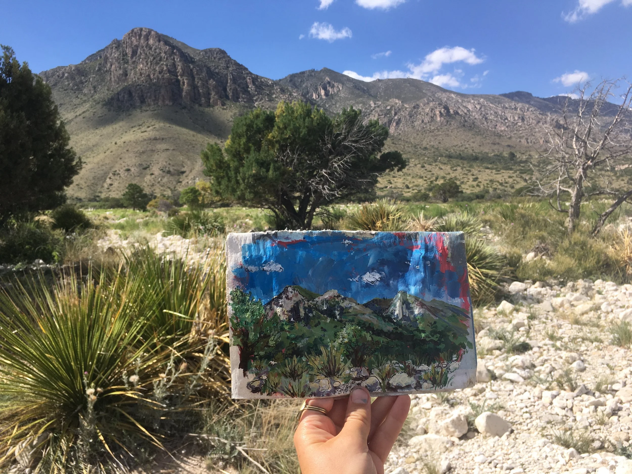 The painting I created using the GSDNP newspaper as a canvas