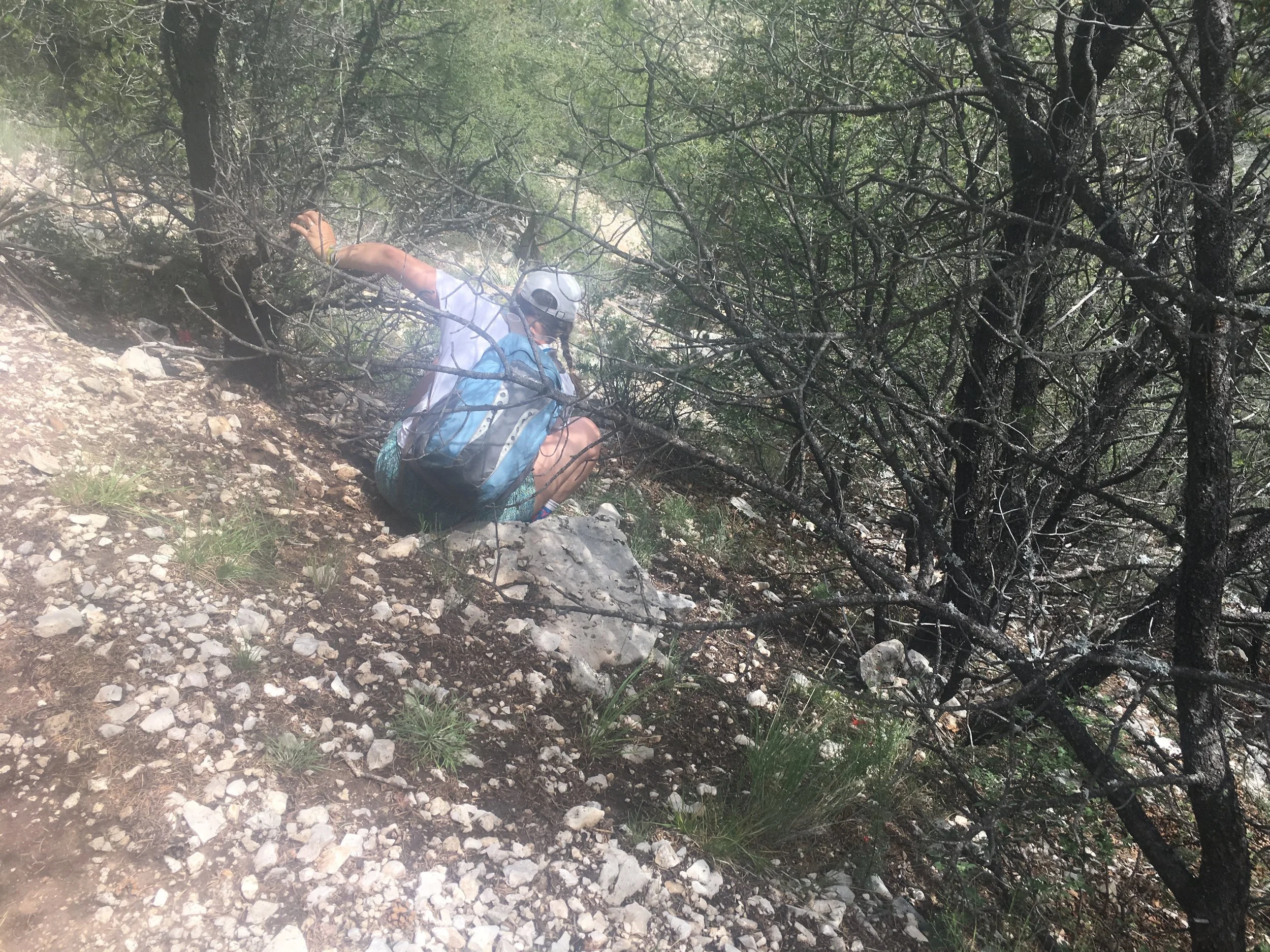 Using the tree as a support in order to grab the plastic water bottle 