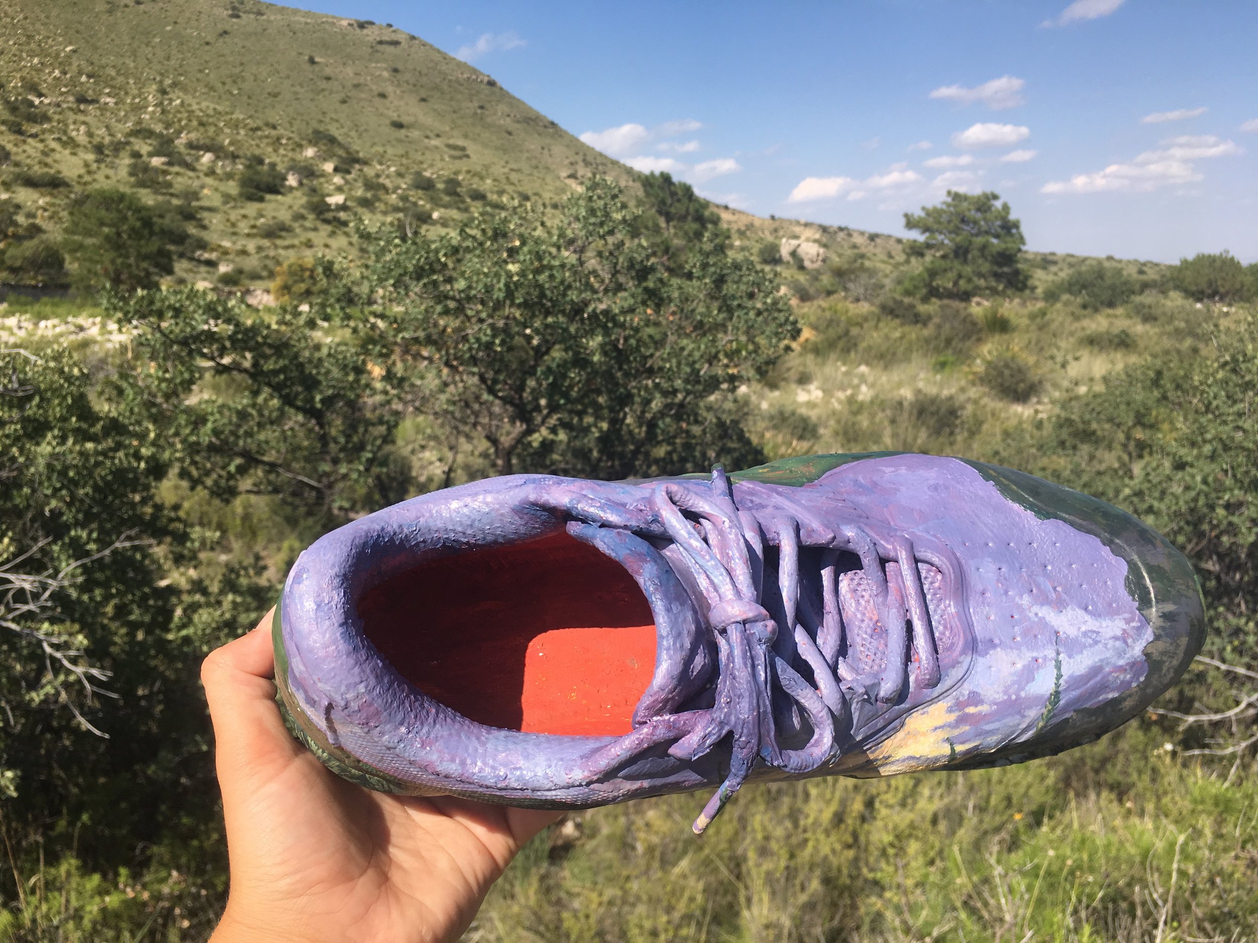Step 6: Finished product! You can kind of see how the green of the mountain wraps around the entire shoe. And look at that orange ground peeking through!