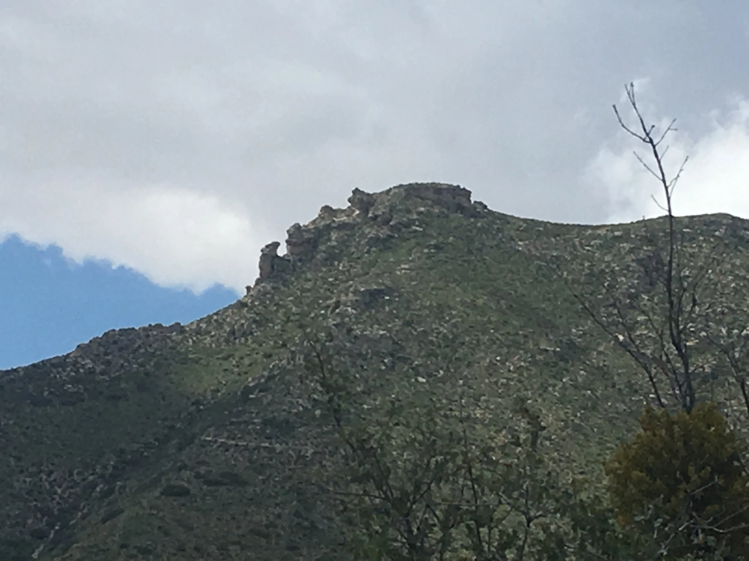 Mountain that looks like gorilla