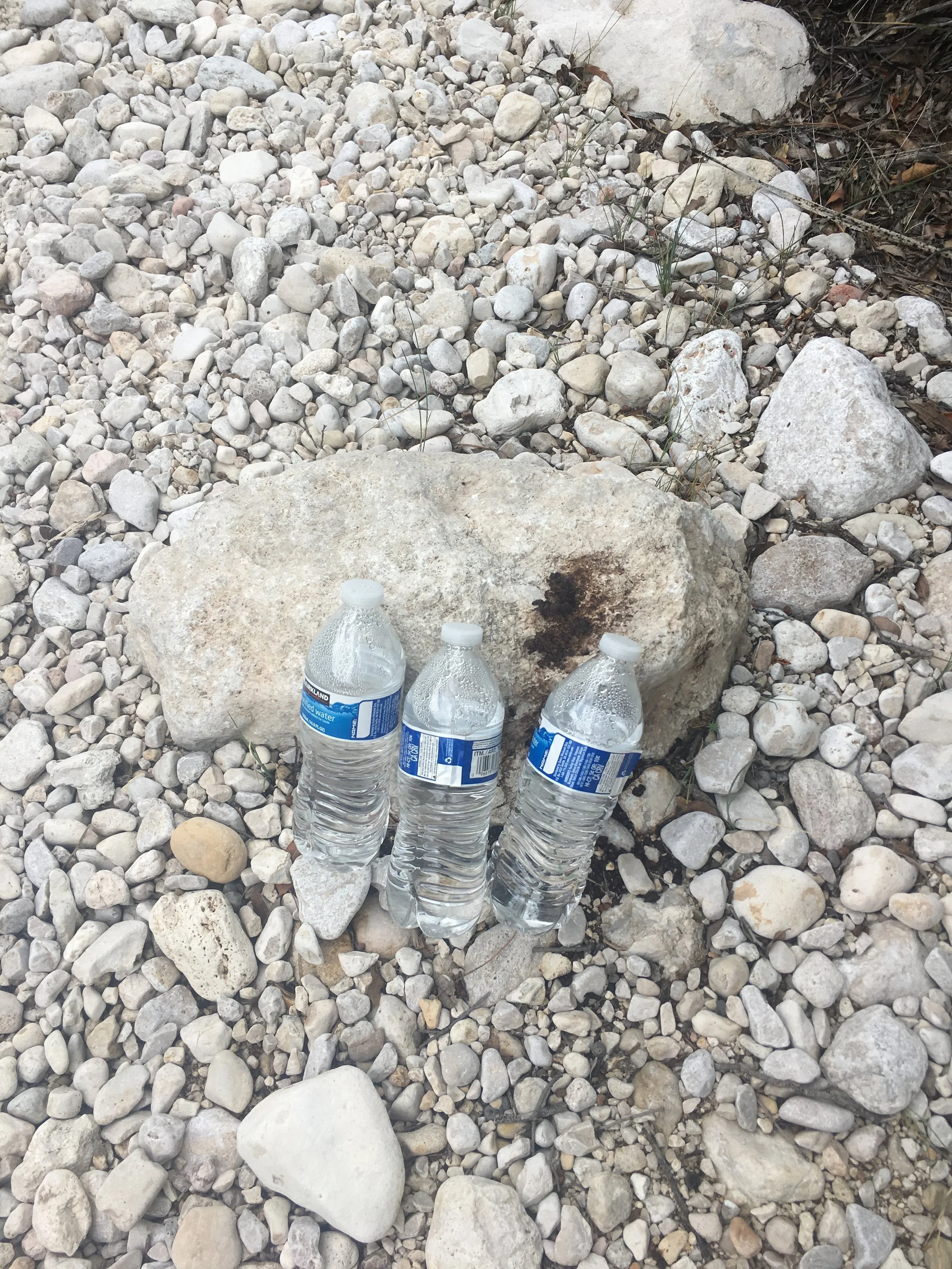 Holy moly, it's THREE FILLED water bottles!