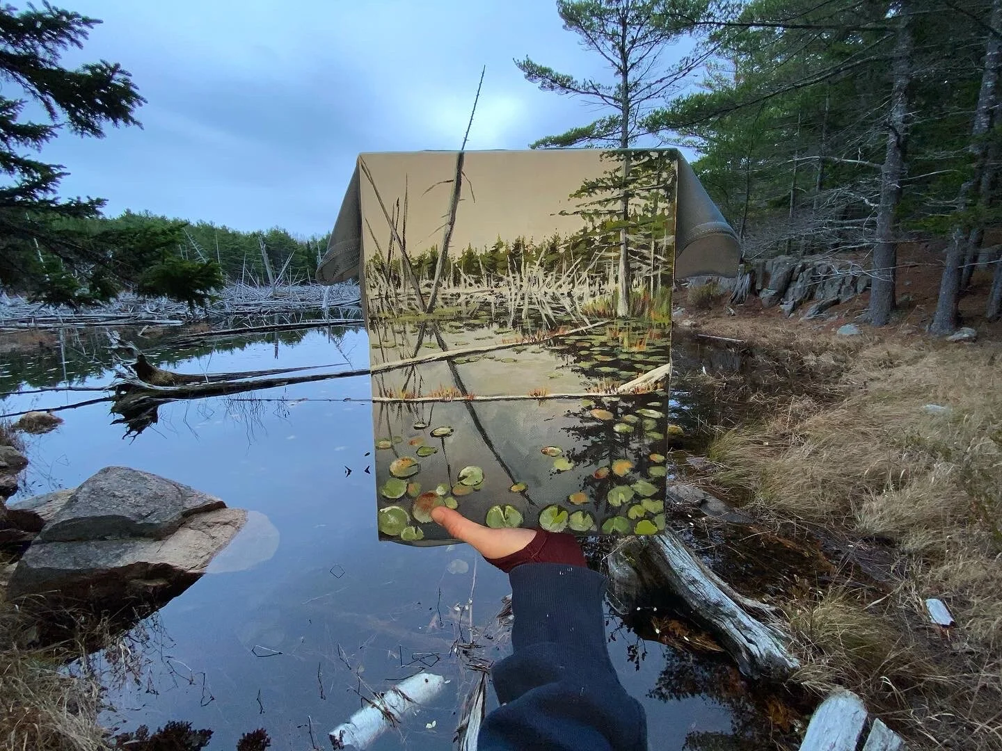 Beaver Pond Tank (Copy)