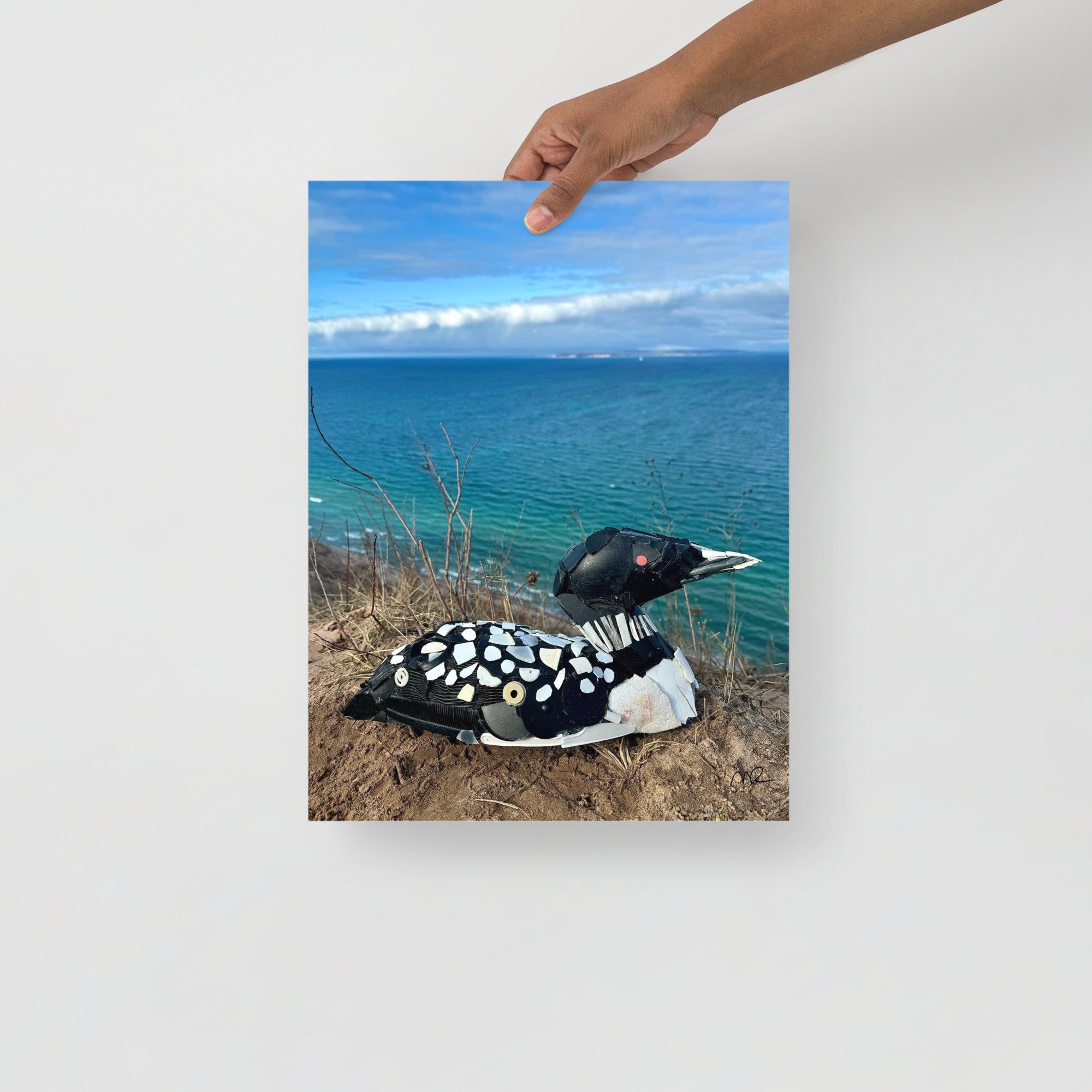 Loon Poster (12x16