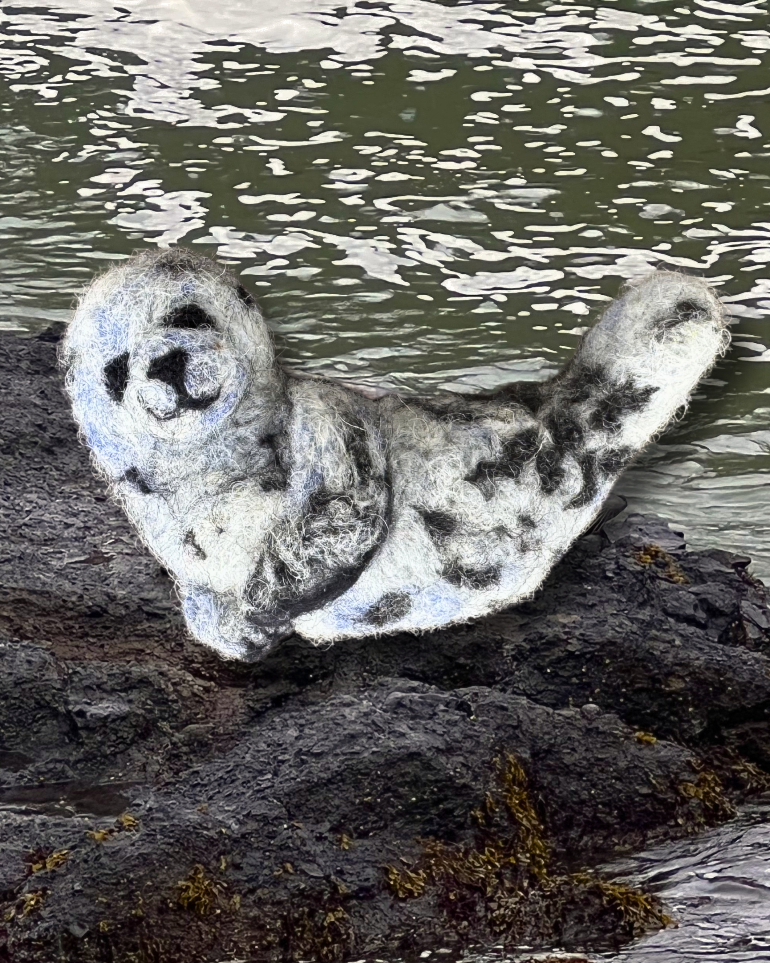5/9 Felted Harbor Seal Class at Volta