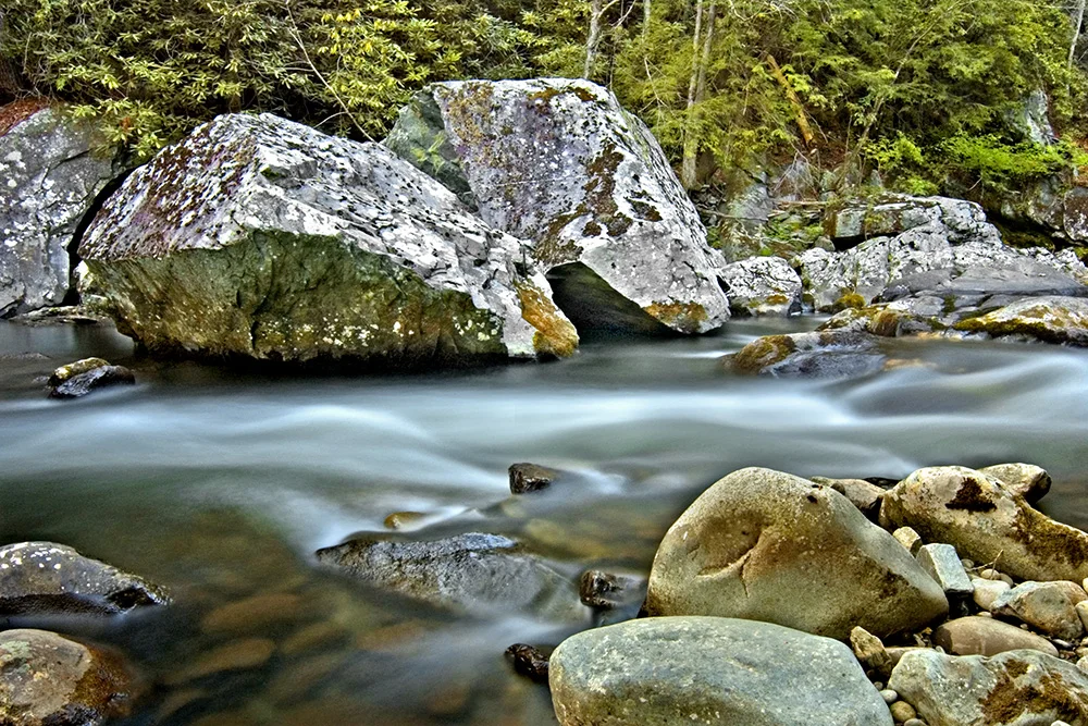 DSC_0052Master copyWeb.jpg