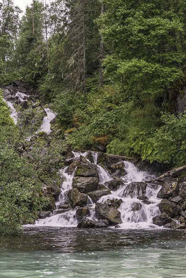 DSC_5967 WEB copy.jpg