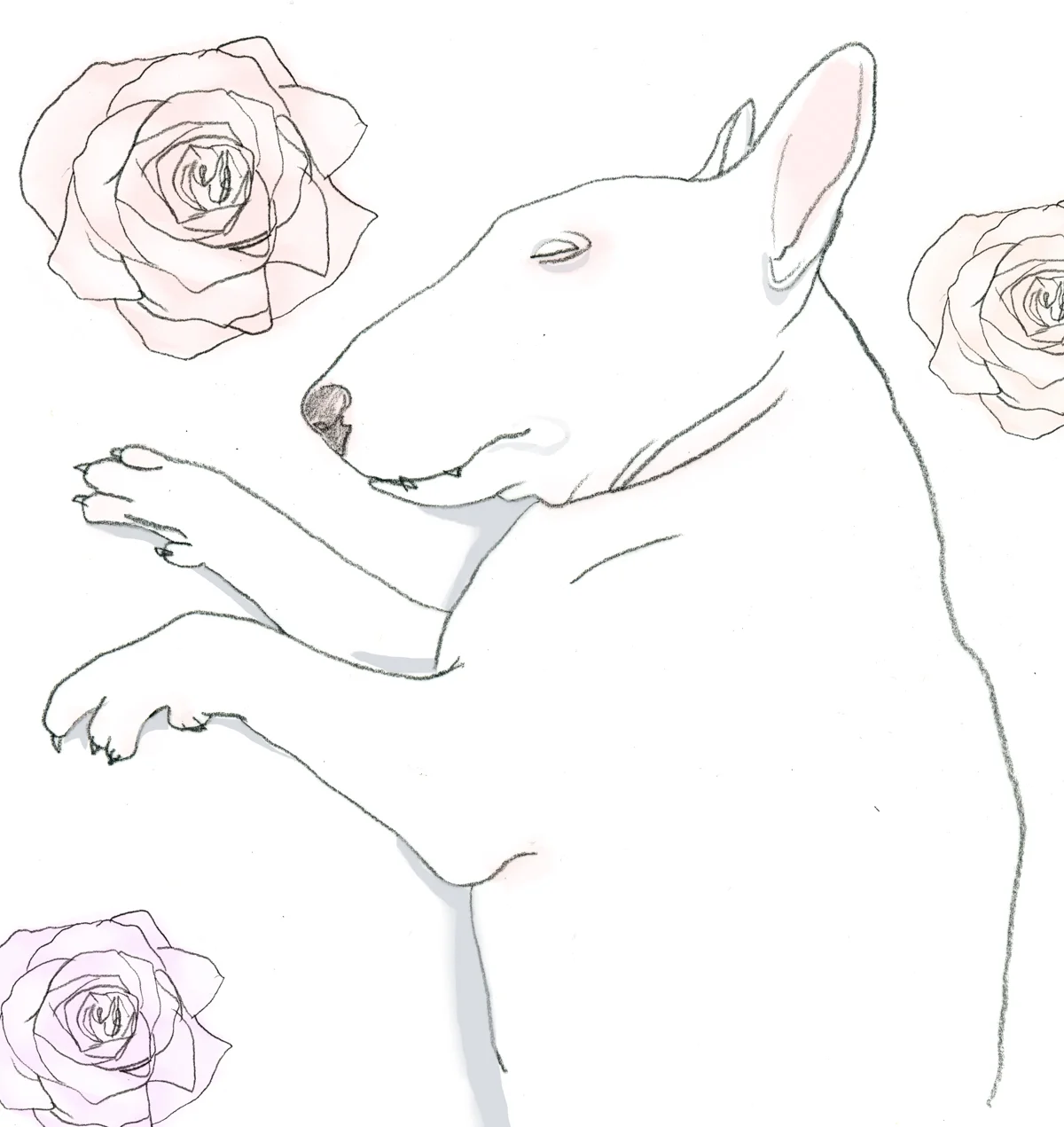 bullie.jpg