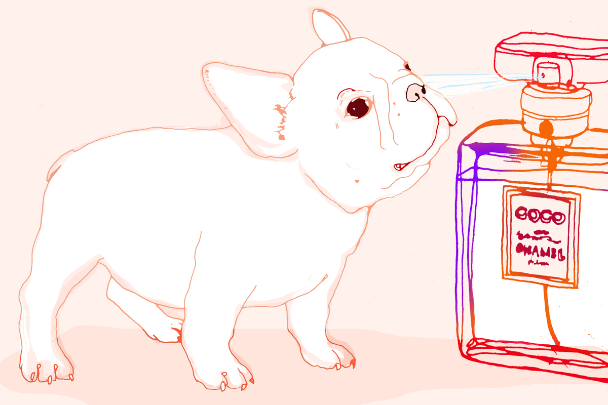 Coco_23x34.jpg