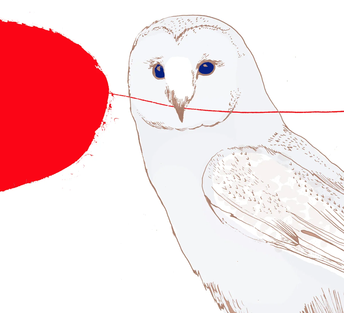 Owl.jpg