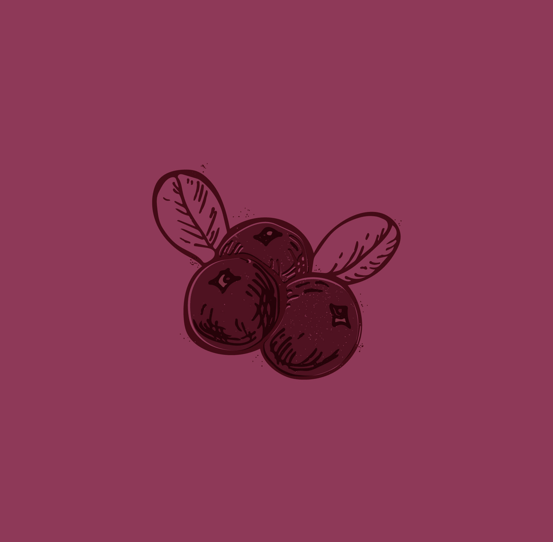 Cranberry  RGB 2.jpg