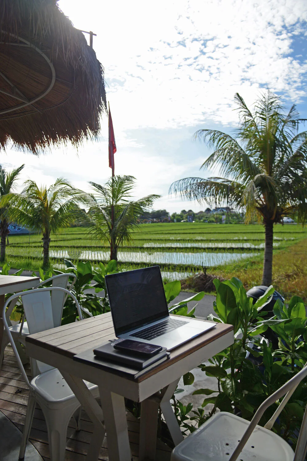 RiceFieldView.jpg