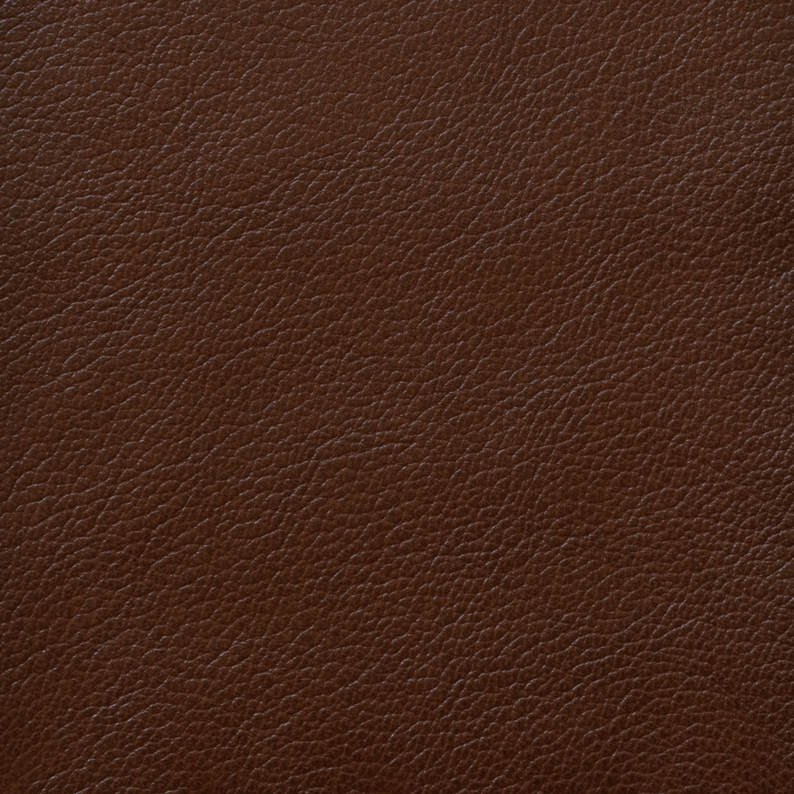 Cognac (Saddle)