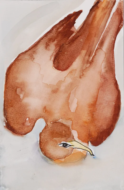 Dove
