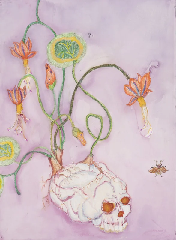 Flowers for Brains
