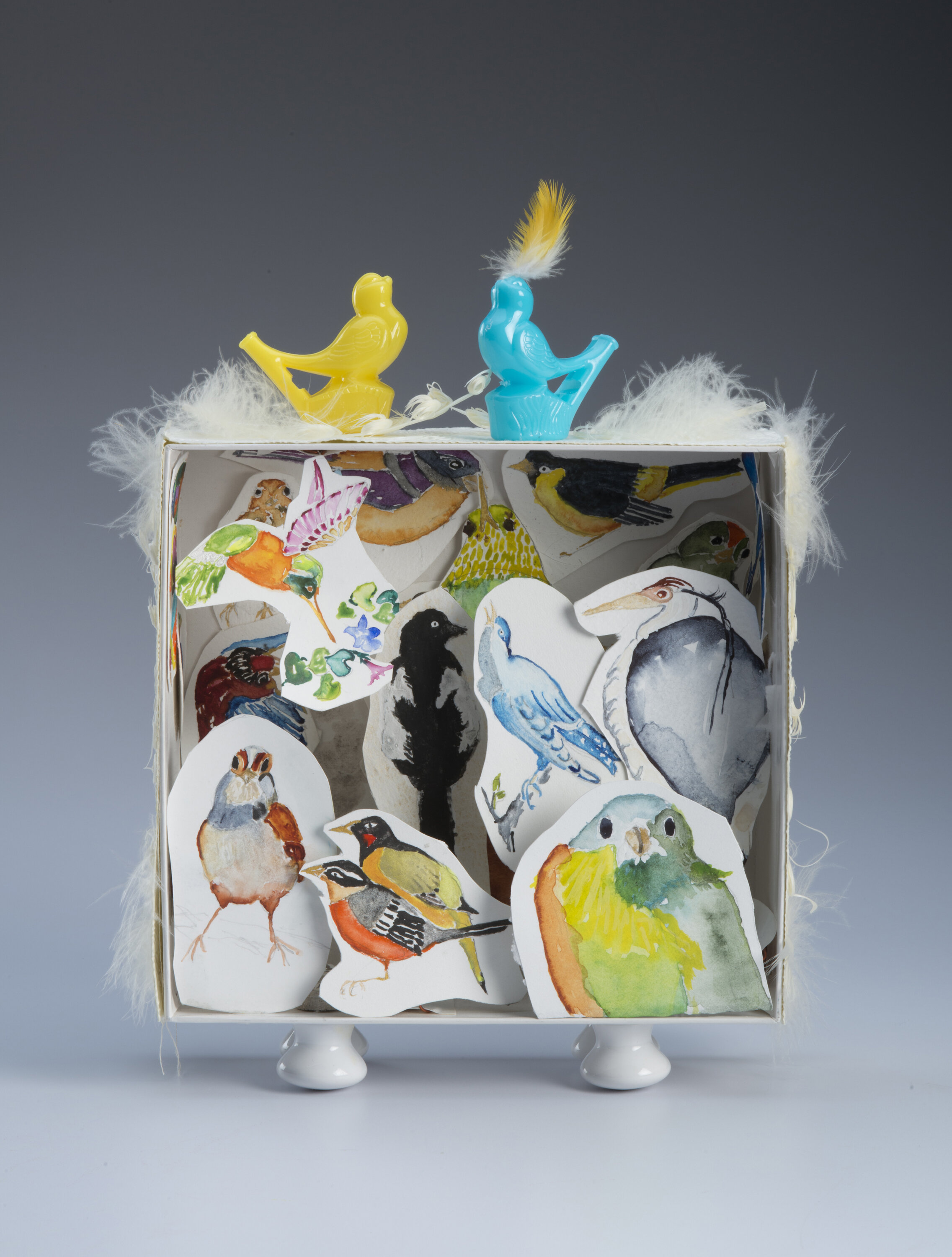 Birds' Box