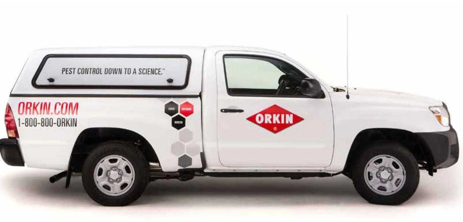 Orkin 11.jpg