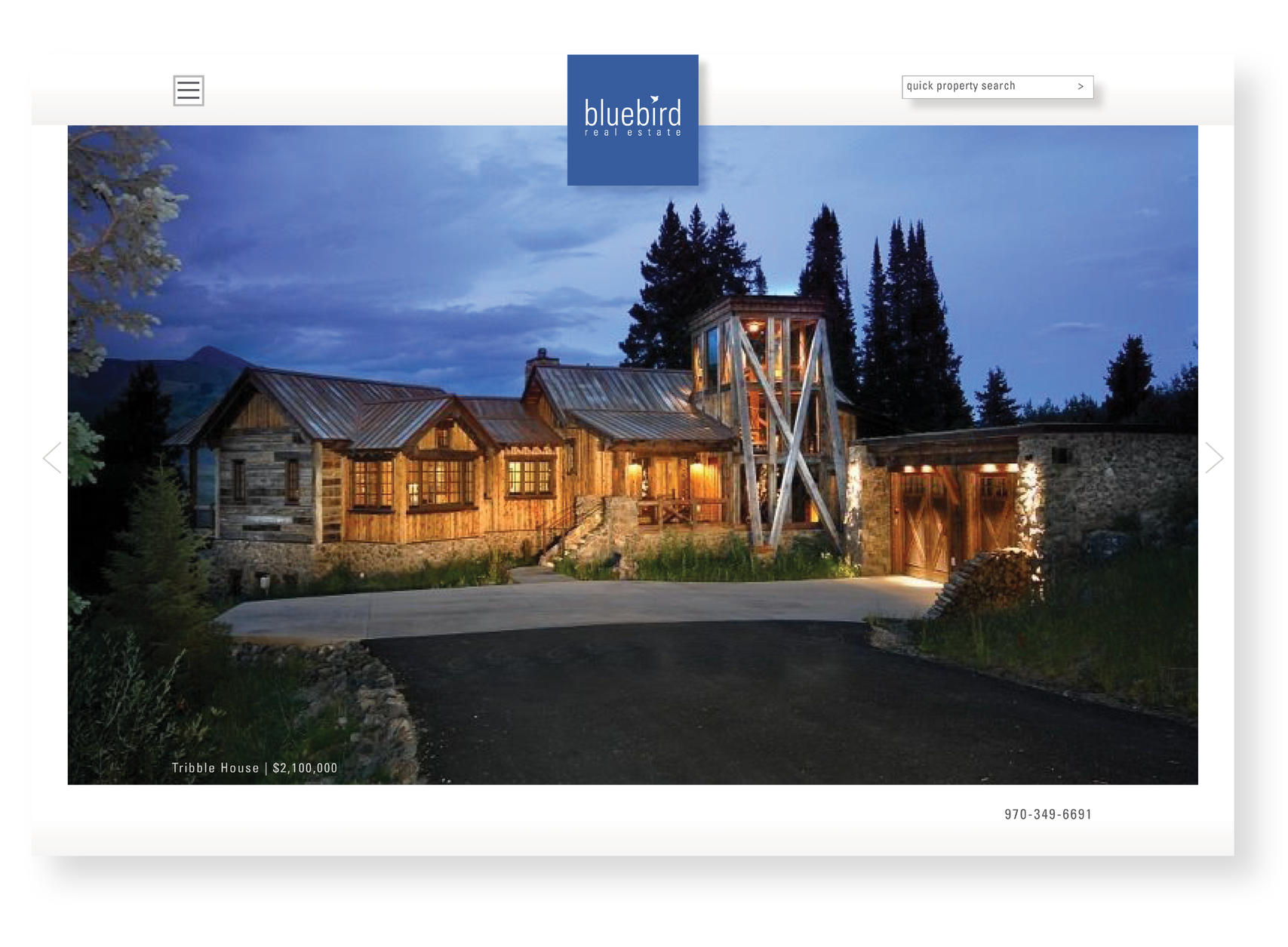 Bluebird_ SGD web site3.png