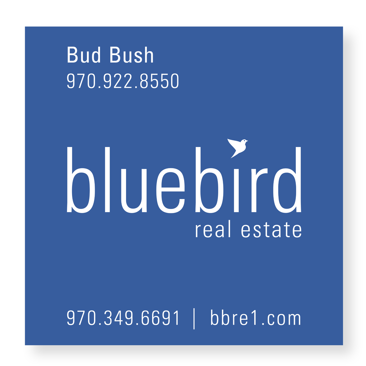 Bluebird_ SGD web site5.png