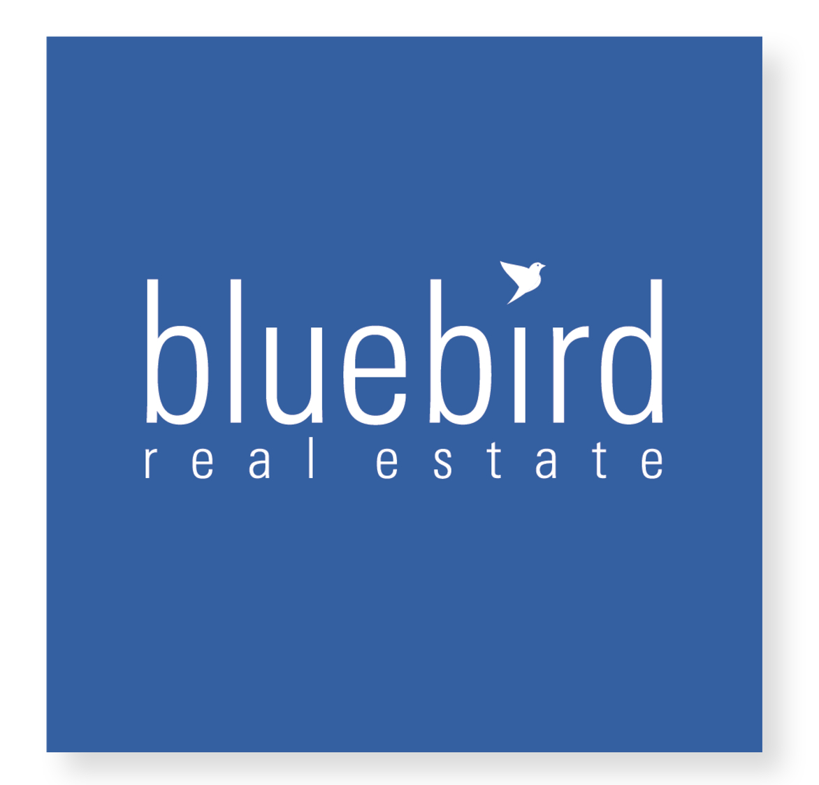 Bluebird_ SGD web site6.png