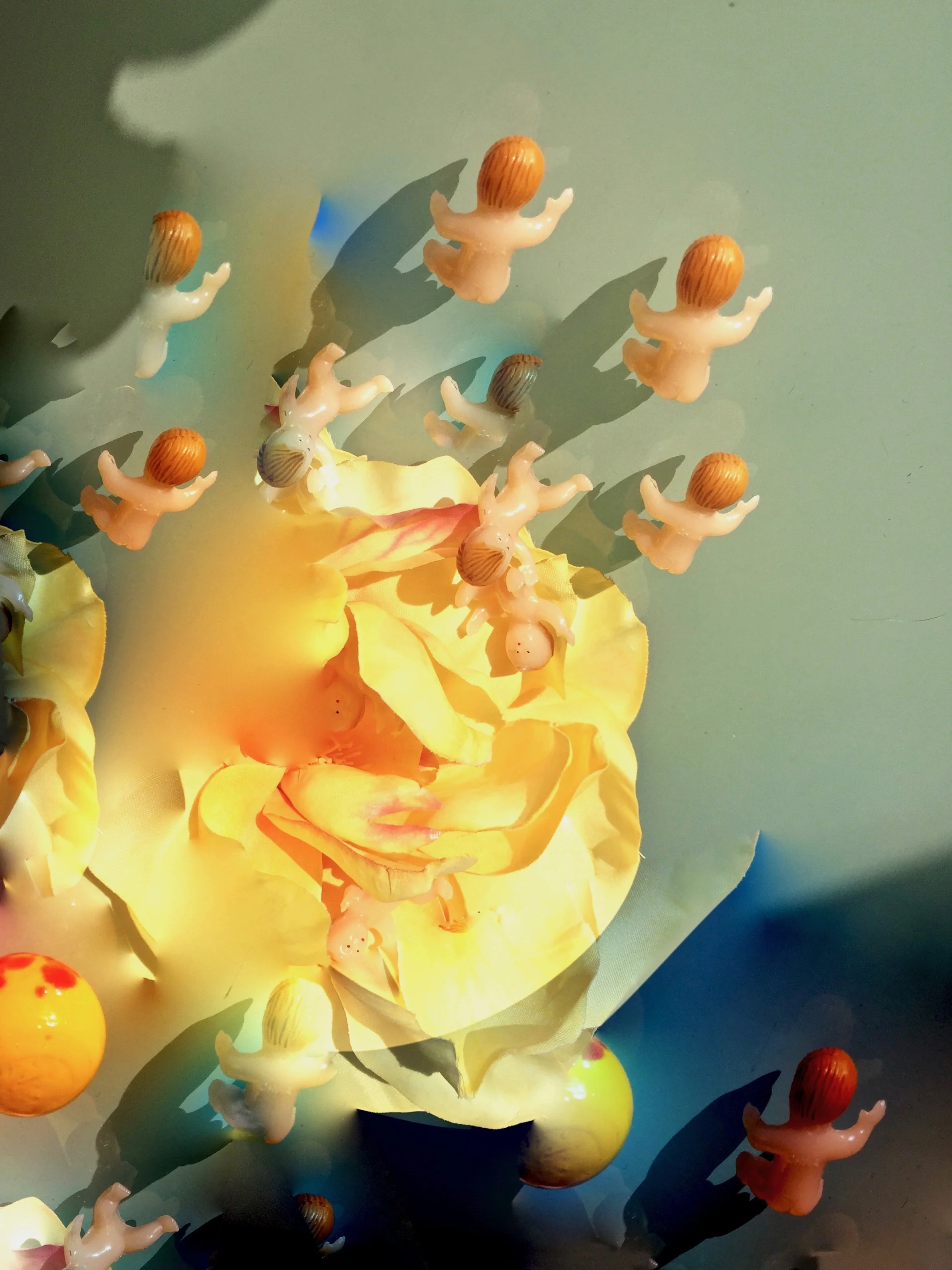 Pollination (#2)  (24X32)