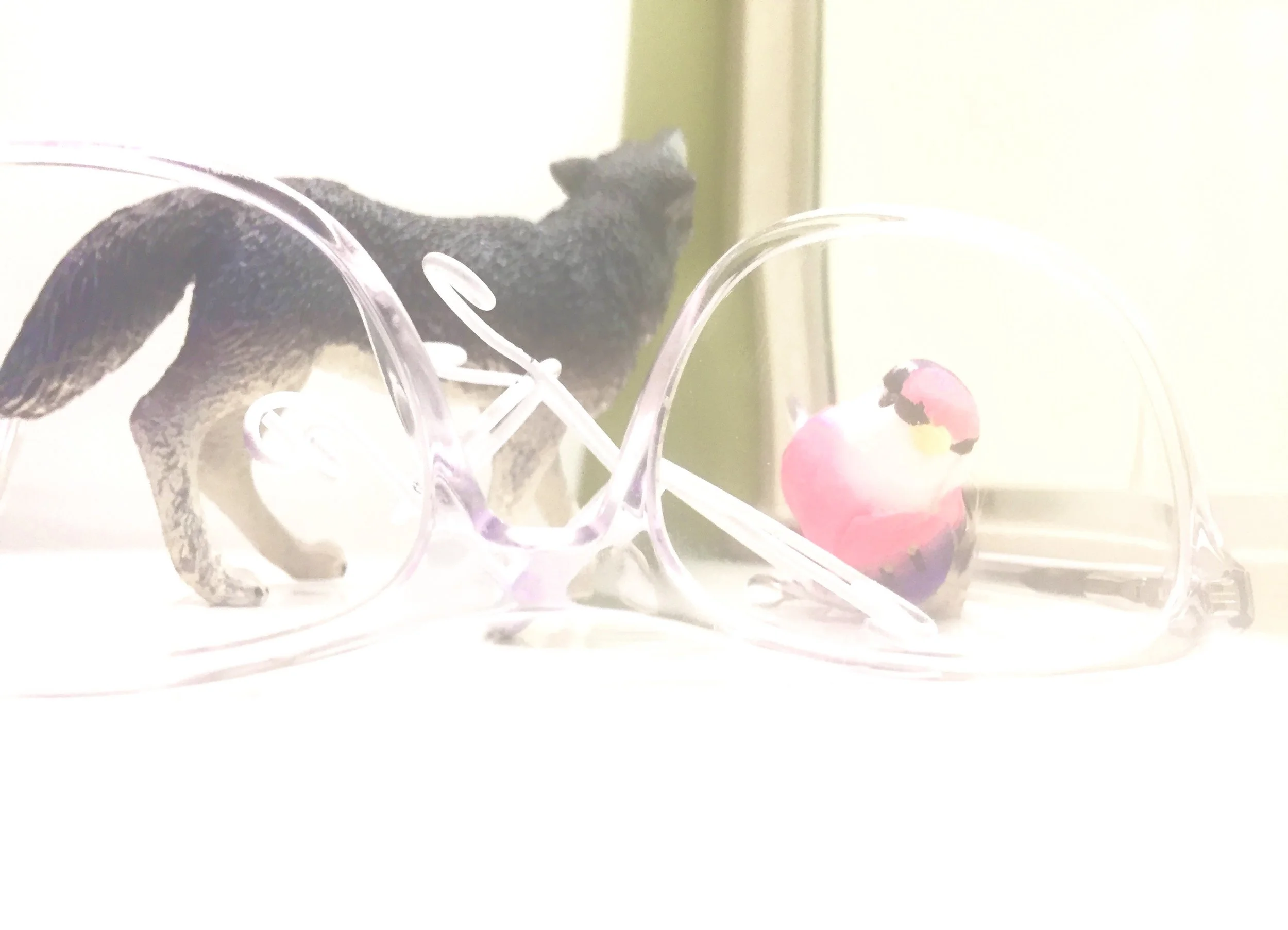 Window Watching The Winter White Out (40X30) framed on paper