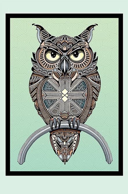 Owl