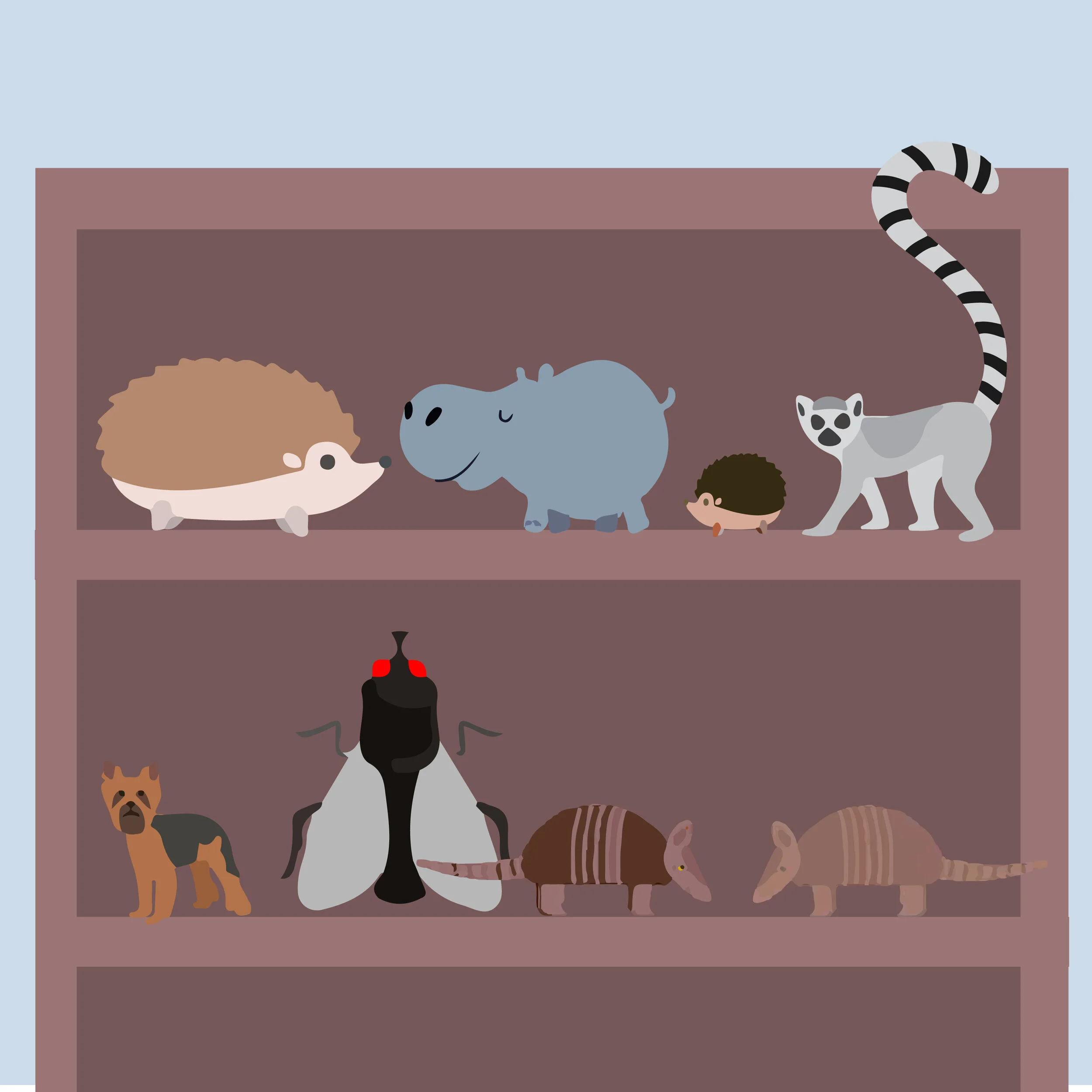 1_shelf.jpg