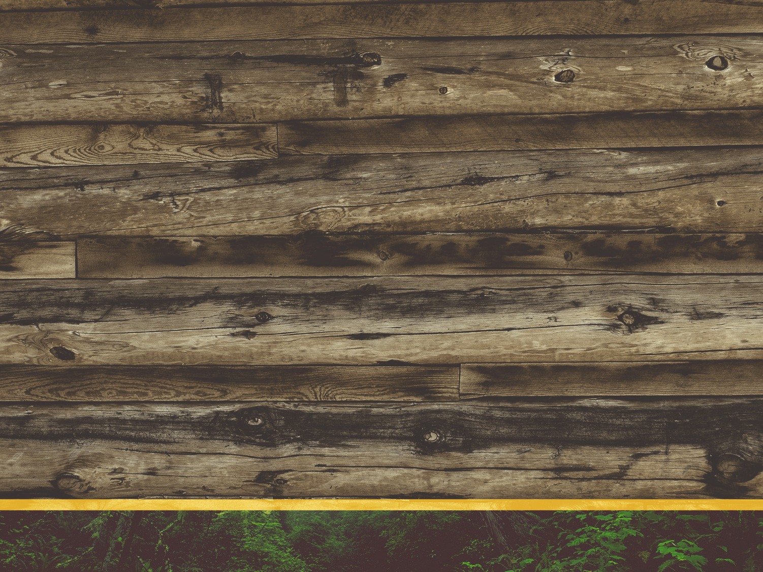 Wooden Backdrop Church Worship Background.jpg