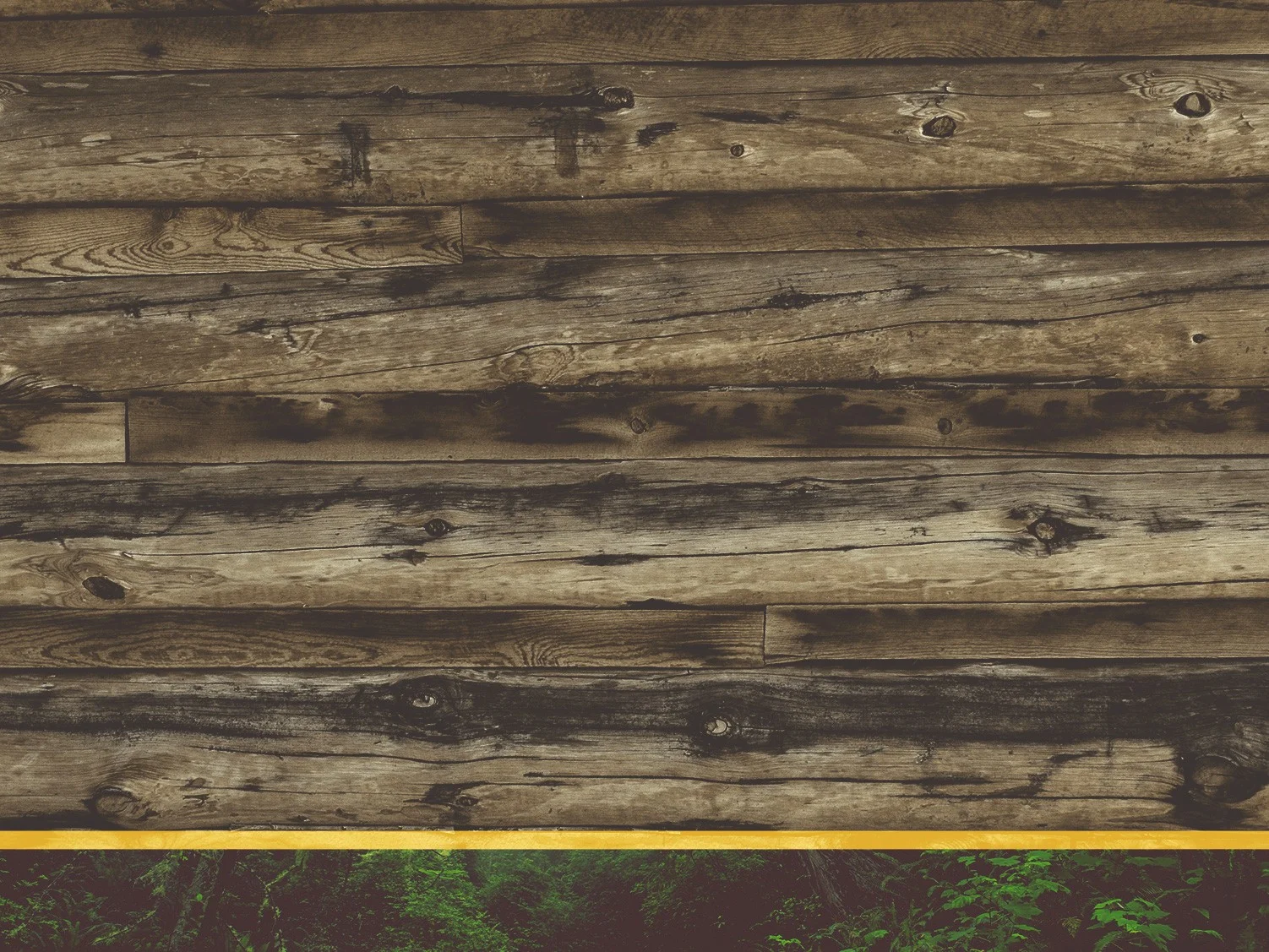 Wooden Backdrop Church Worship Background.jpg