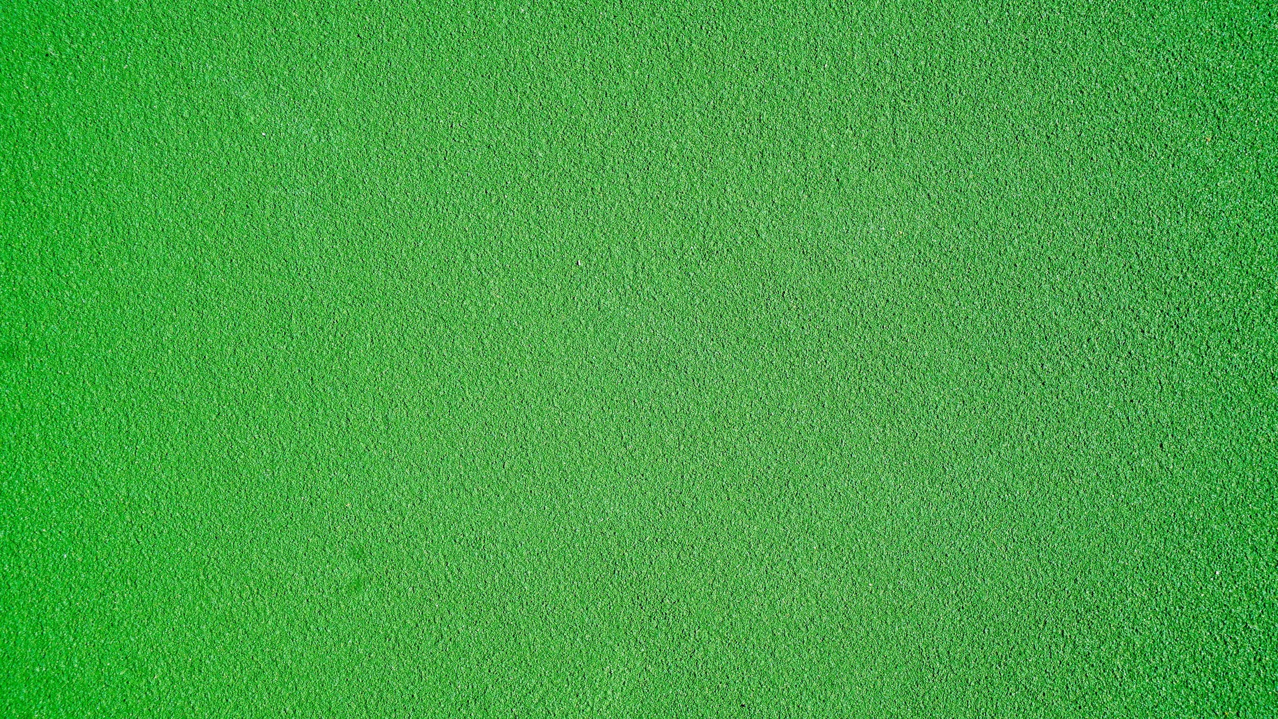 green background2.jpg