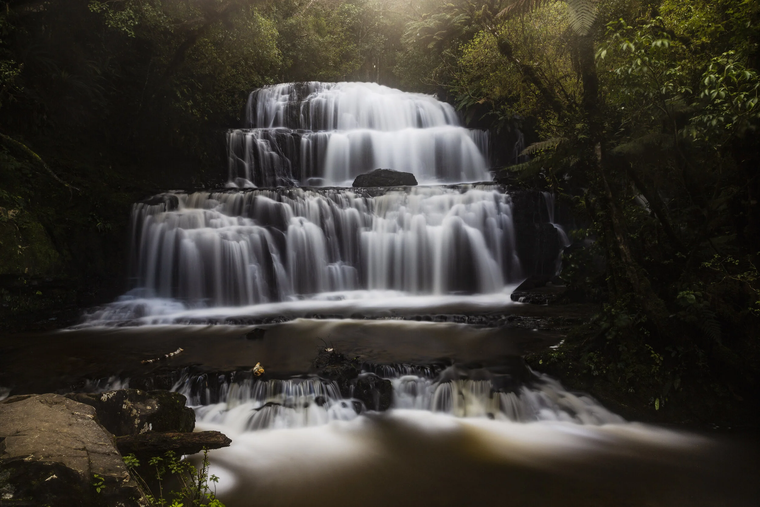 haley_stevens-1-94 2.JPG