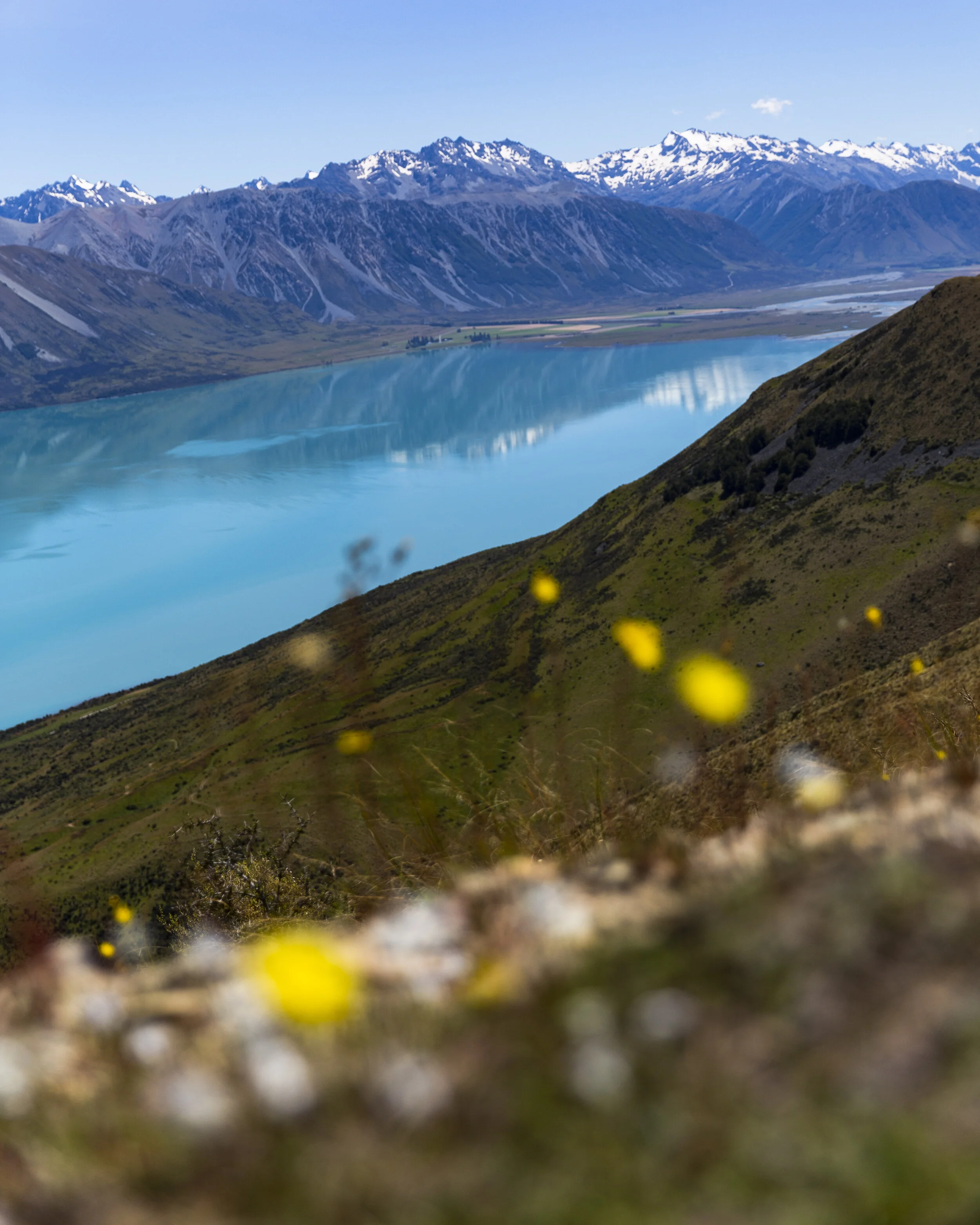 haley.stevens-1-2 3.JPG