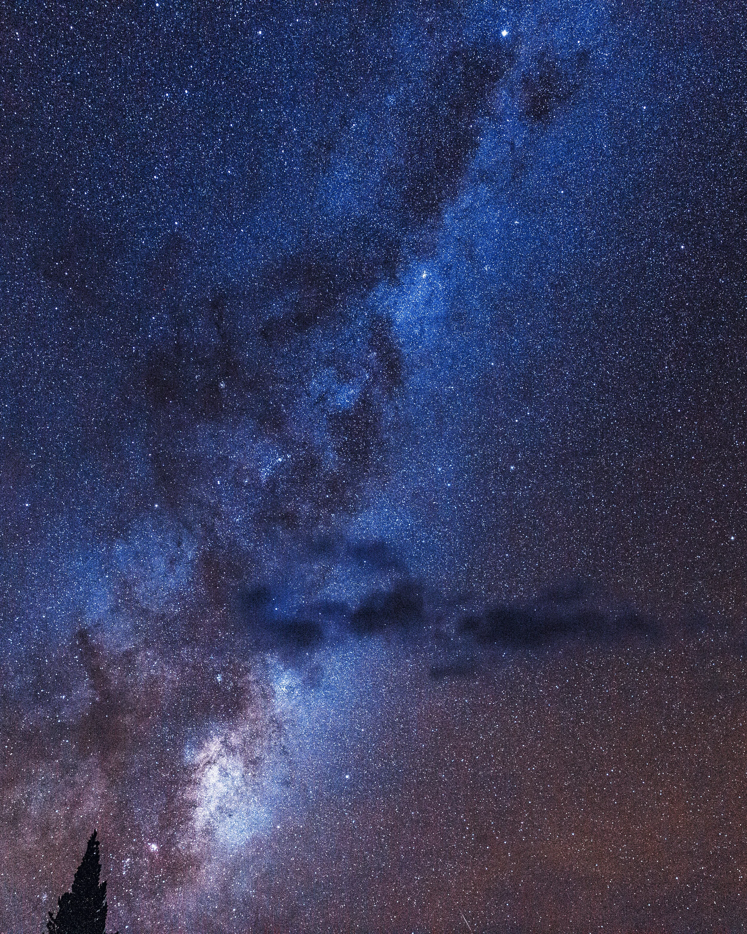 haley.stevens-1-19 2.JPG