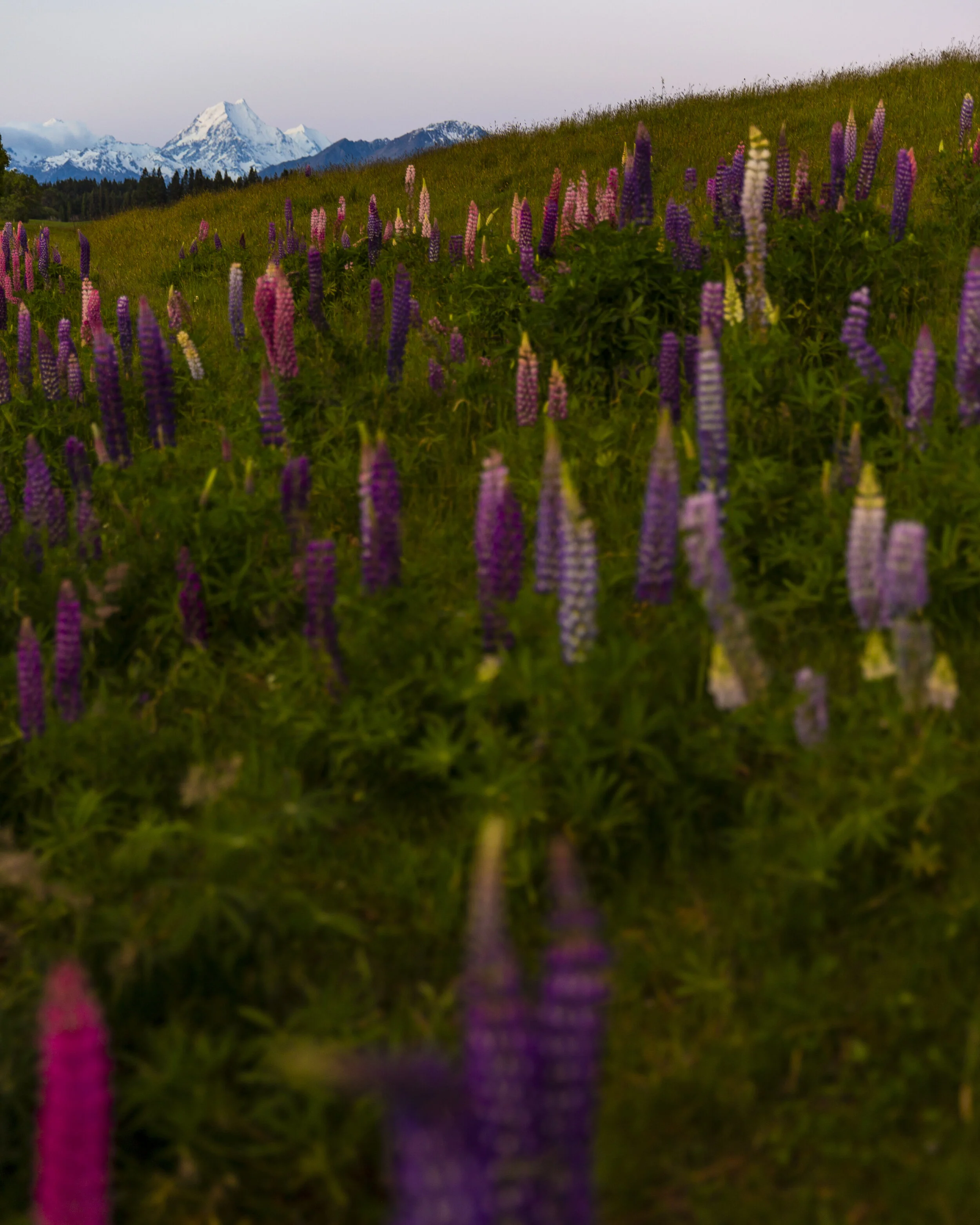 haley.stevens-3-2 2.JPG