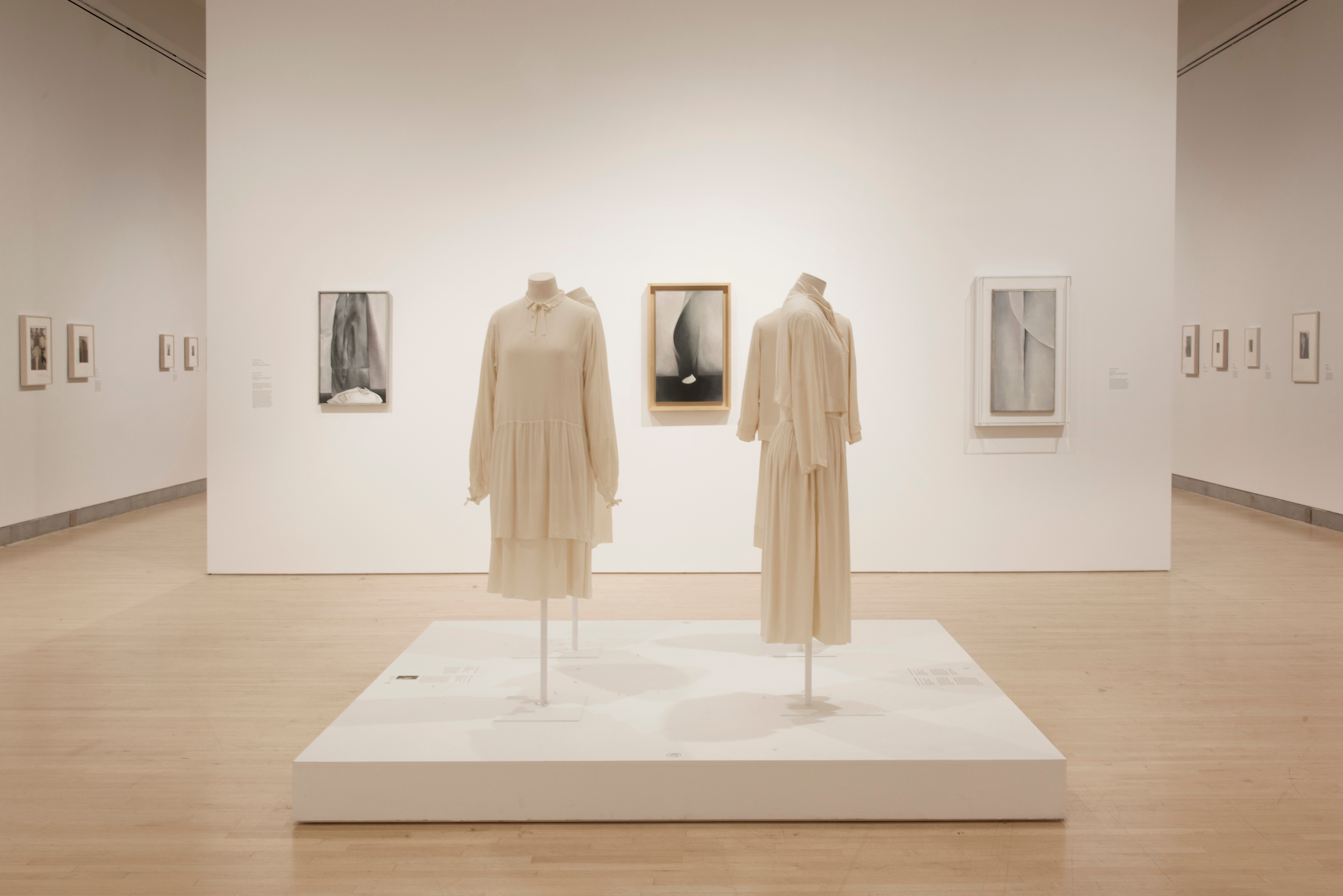  Georgia O'Keeffe: Living Modern, installation views. Copyright, Jonathan Dorado (2017). Courtesy the Brooklyn Museum. 