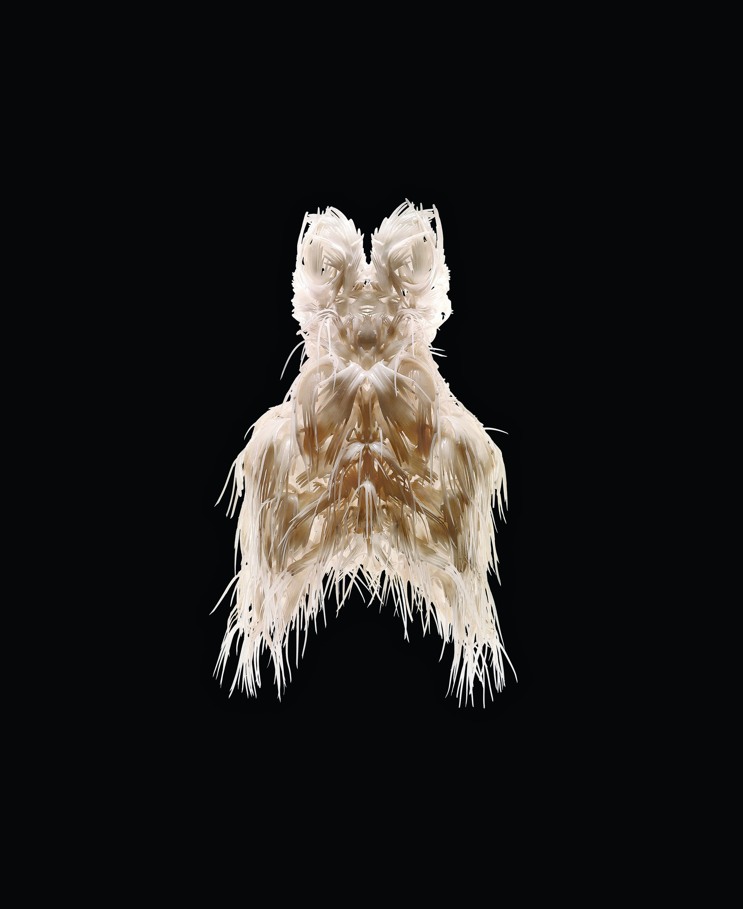  Iris van Herpen,&nbsp; Biopiracy ,&nbsp; Dress , March 2014. 3-D-printed thermoplastic polyurethane 92A-1 with silicon coating. In collaboration with Julia Koerner and Materialise. Collection of Phoenix Art Museum, Gift of Arizona Costume Institute.