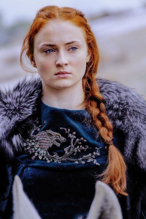  Sansa’s blue velvet dress with an embroidered wolf and flowers in season six. 