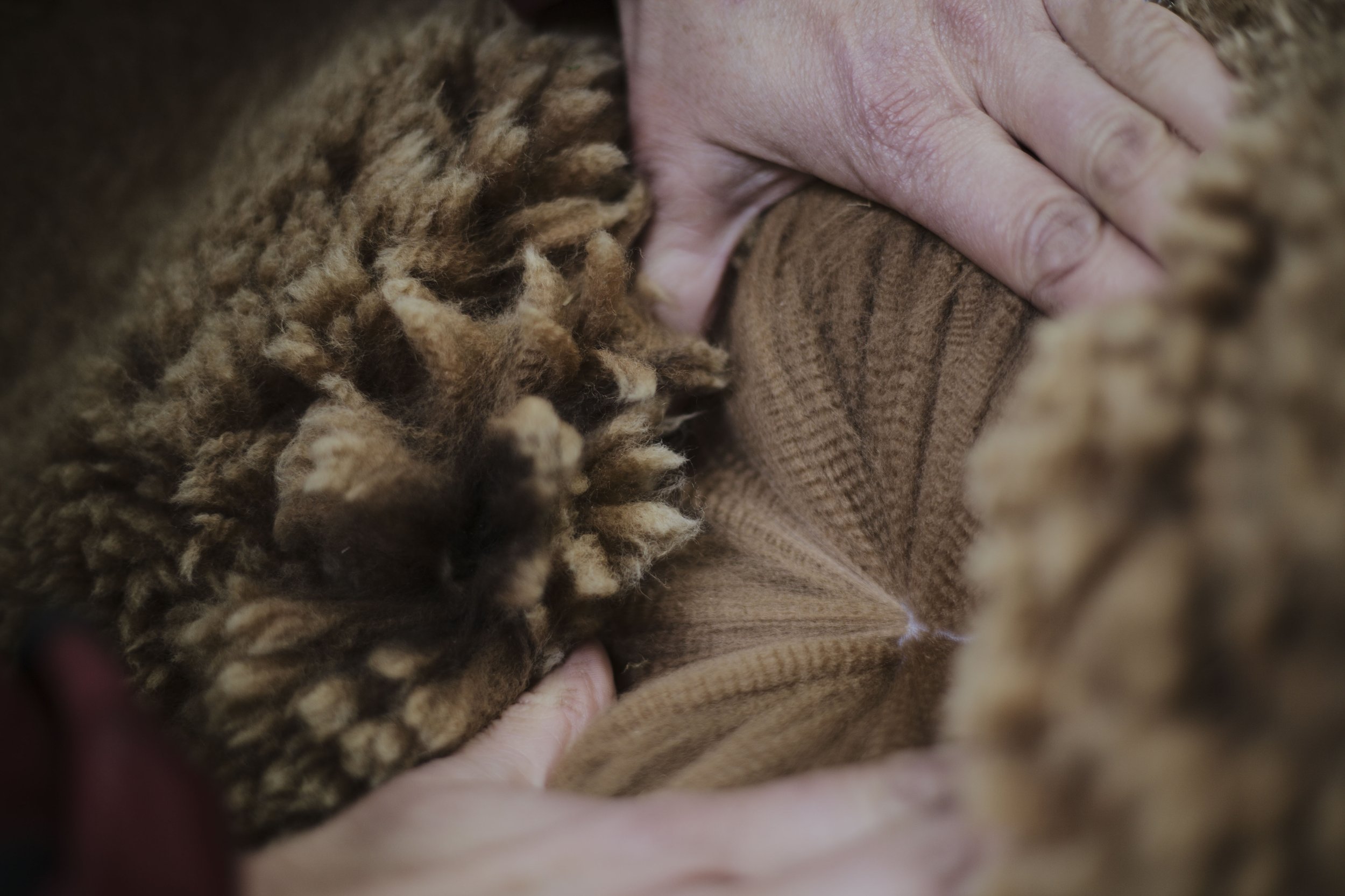  Alpaca fiber is hollow—giving it greater thermal capacity than wool, and can also be extremely fine, making it both soft and very warm. 