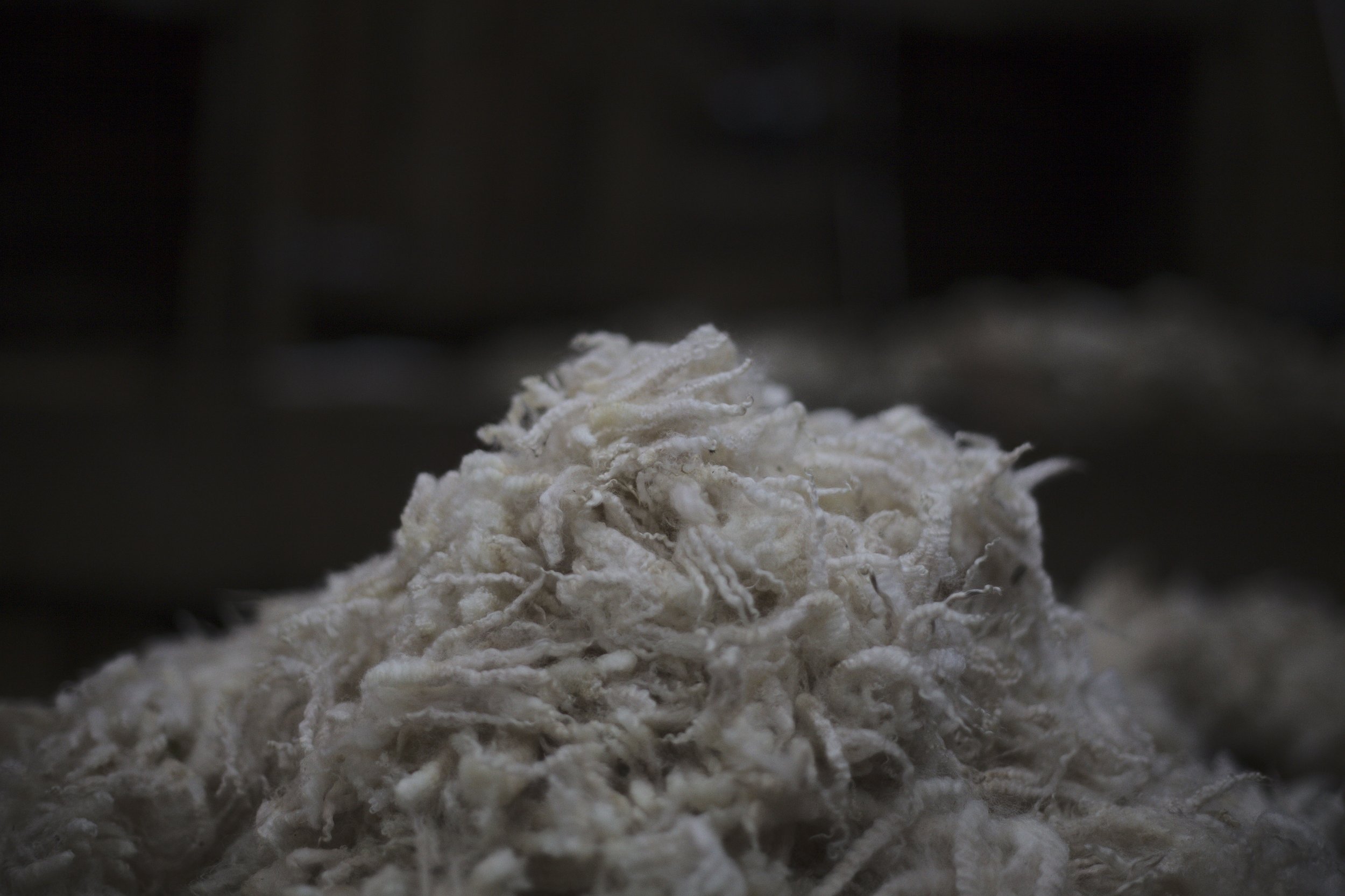  Jen and Andy selectively breed a large native-breed flock to produce fine fleece as well as 100% pasture-fed meat. 