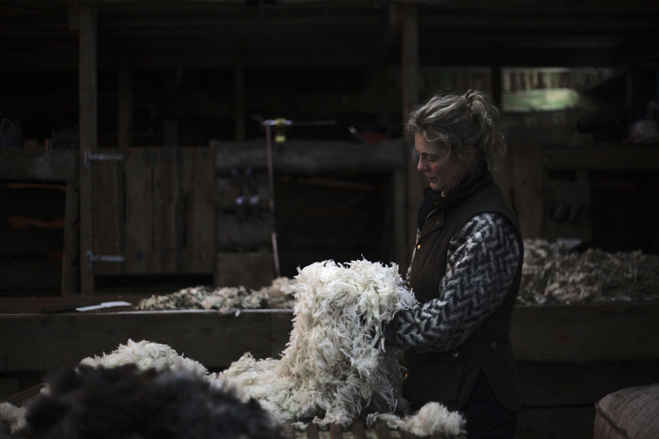  The Fernhill philosophy holds no waste at its core; great care is taken to sort and grade each fleece after shearing to ensure that the very most is made of all of it, and all by-products are seen as resources that can somehow be recycled within the