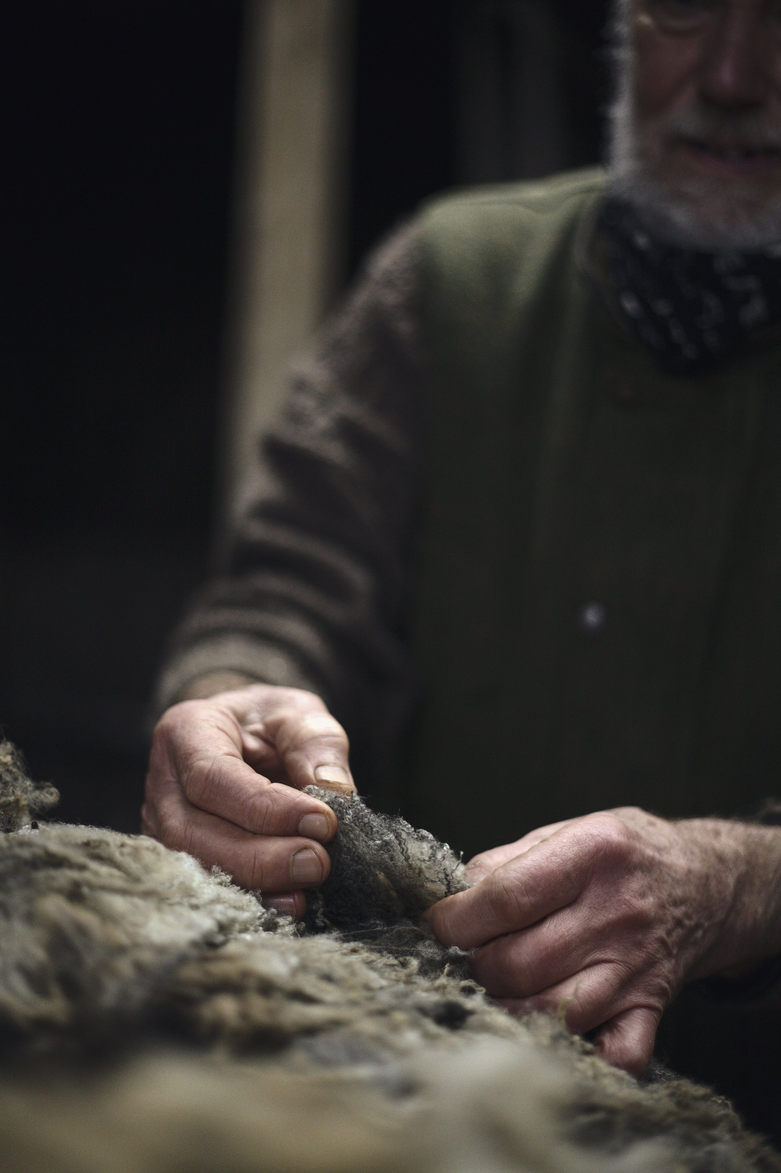  Specializing early on in colored Shetland fleeces which were uncommercial through mainstream sales avenues at the time, Middle Campscott processed their fiber instead through the Natural Fibre Company and became the first UK producer of organic wool