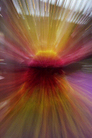 Image 6_ AMBERECHT  _ by Maria Gil Mendoza (1).gif