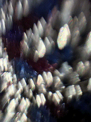Image 3_ YAMANKI  _ by Maria Gil Mendoza (1).gif