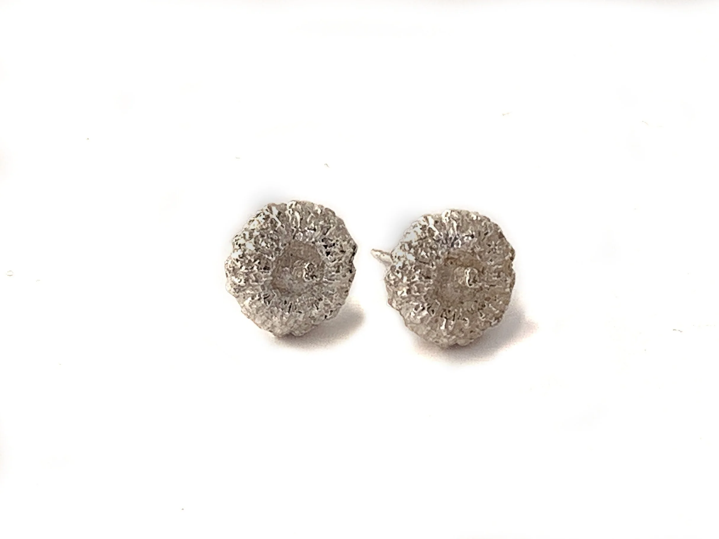 bud+studs.jpg