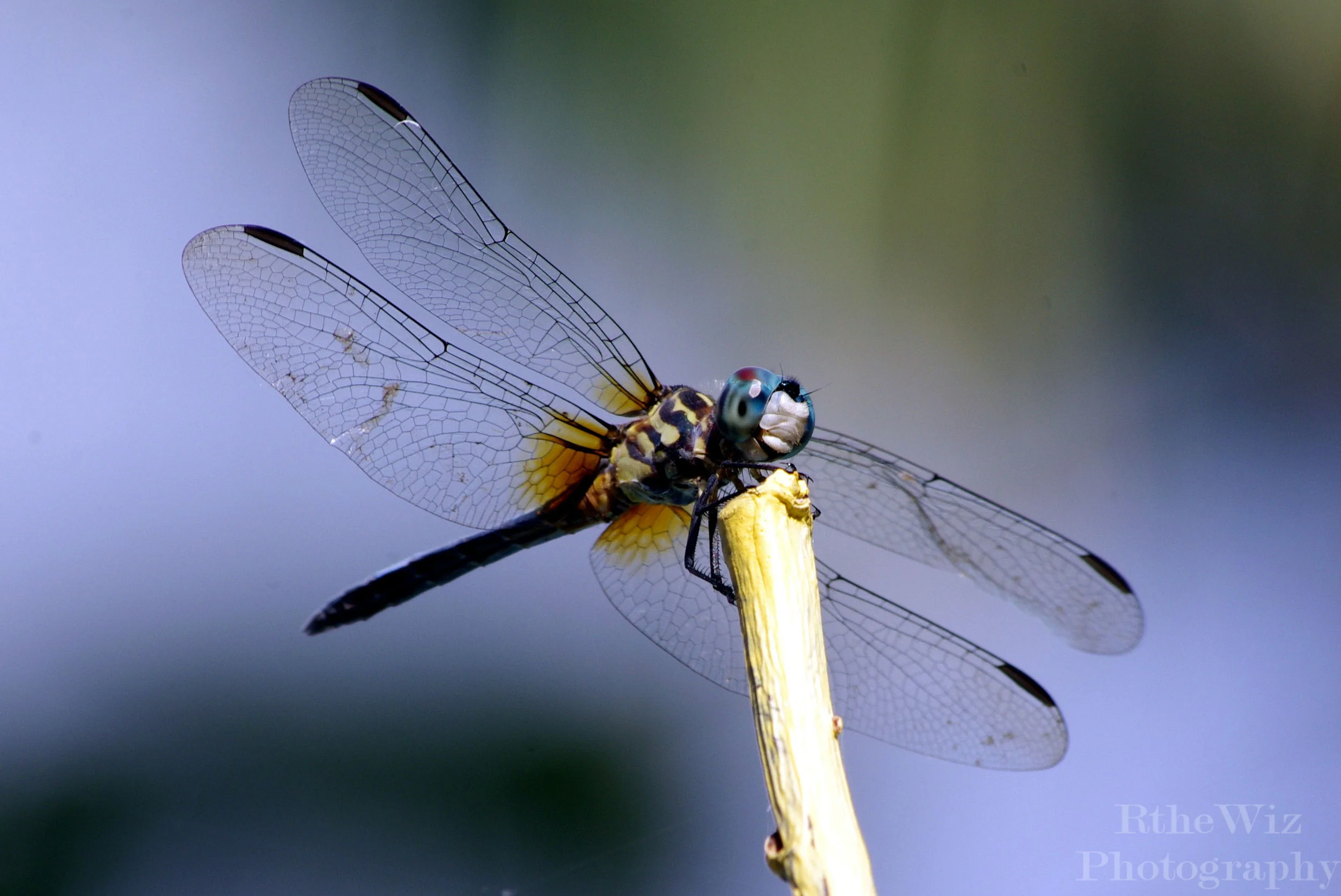 Here's Looking at You, Kid . . .