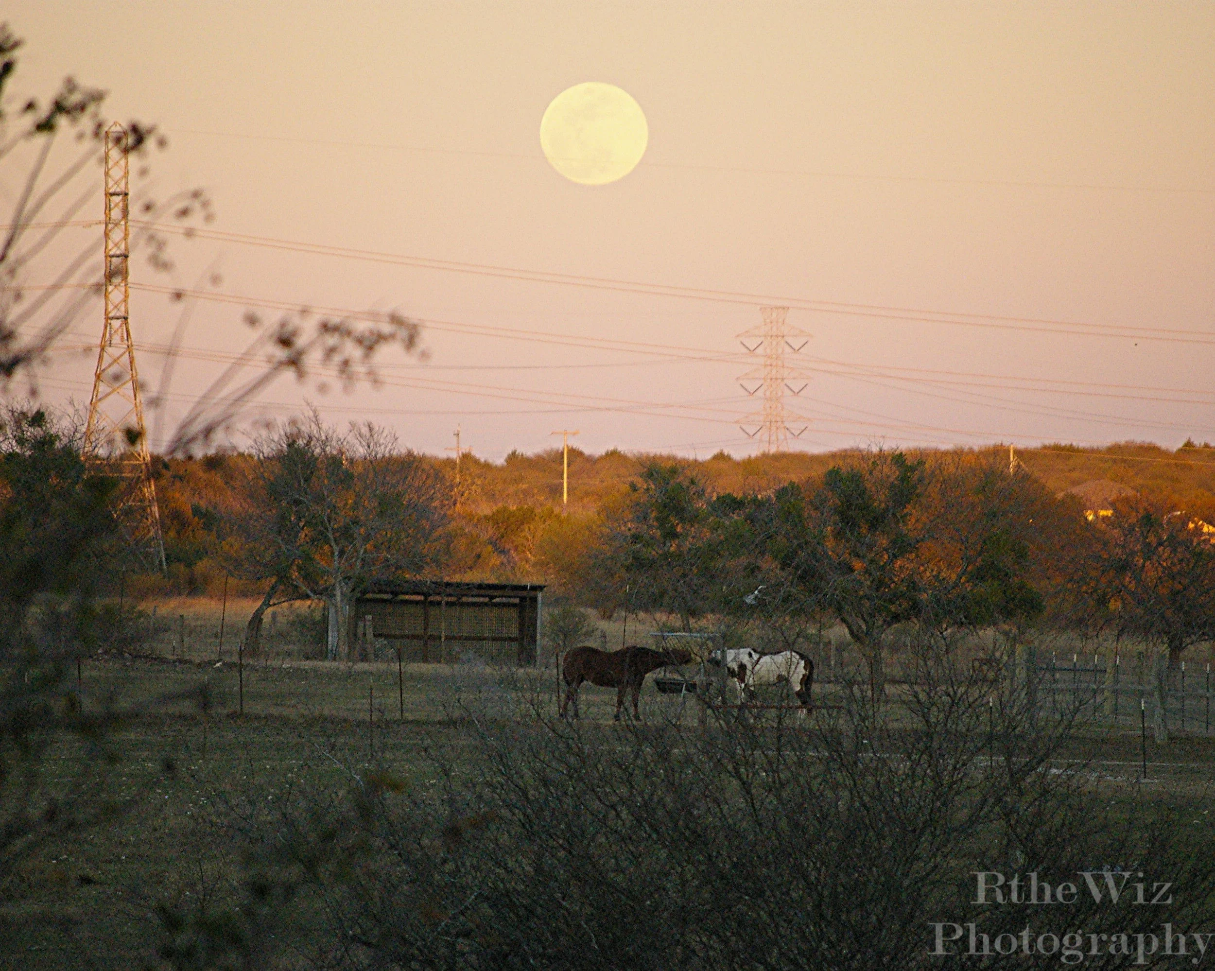 Evening Moon - Schertz, Texas